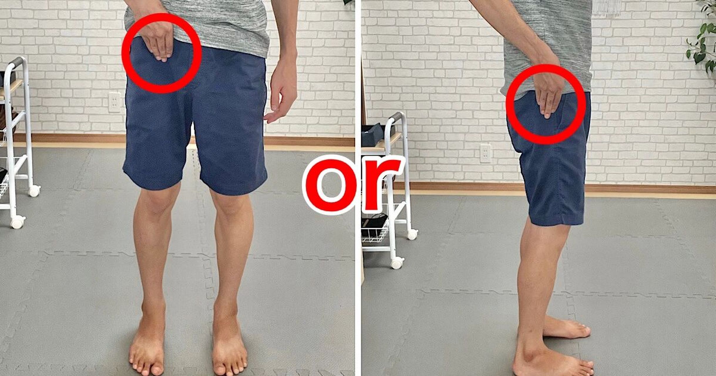 你真的知道髋关节的位置在哪里吗?  你知道髋关节在哪里吗?