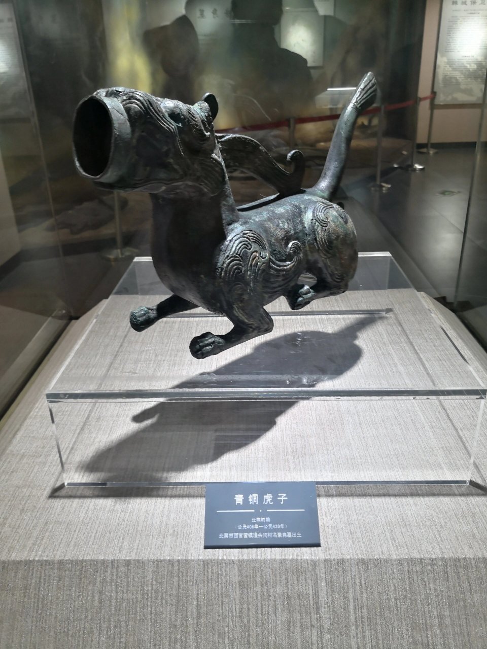 辽宁朝阳北票博物馆 北票这个城市,说它满地都是化石一点都不为过