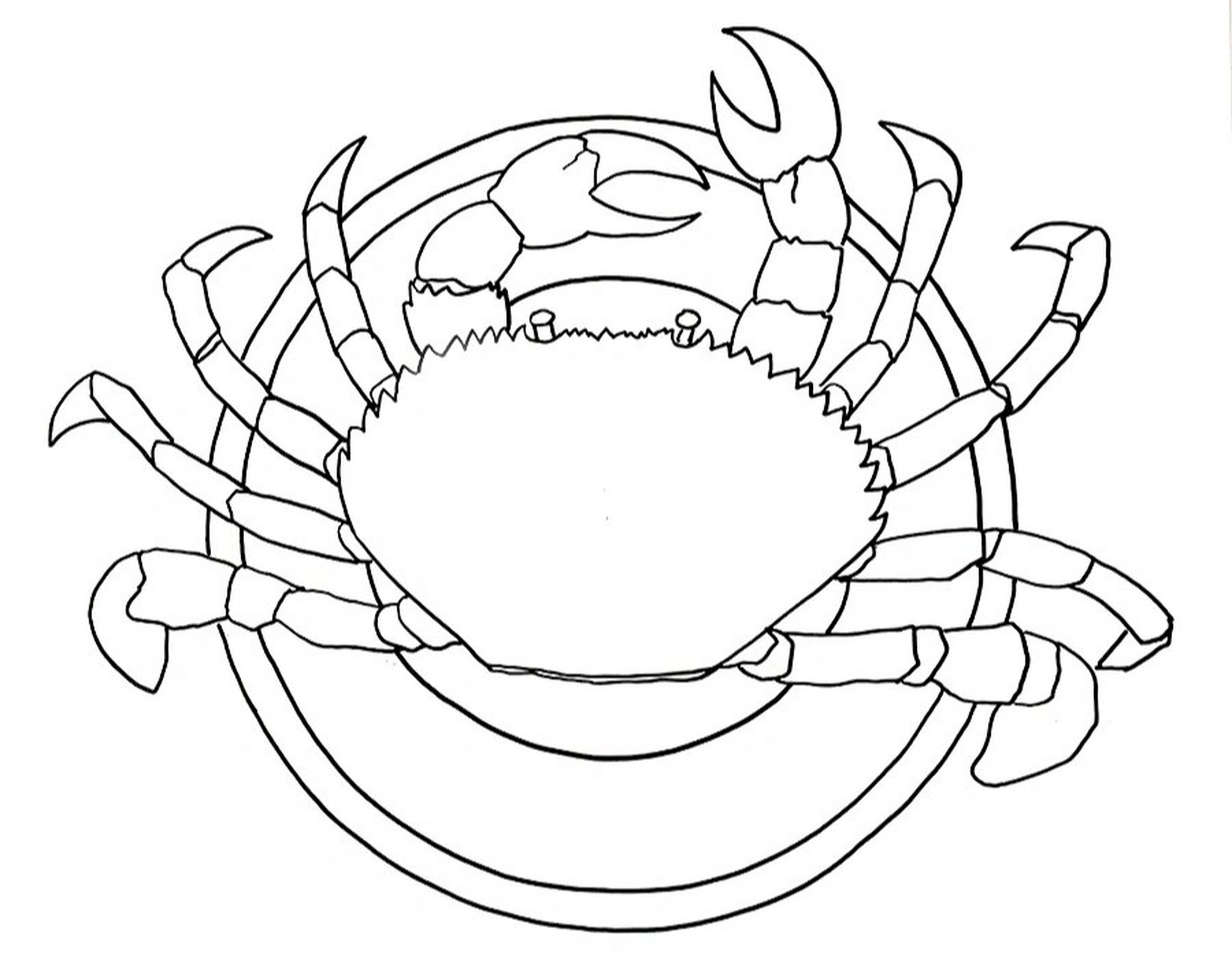 螃蟹儿童画 范画图片