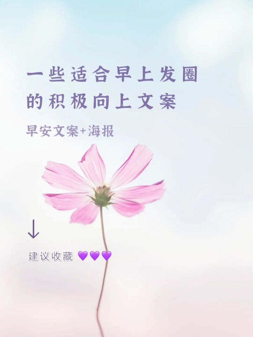 适合发朋友圈的早安文案|早安日签海报 每日更新早安文案  原创早安日