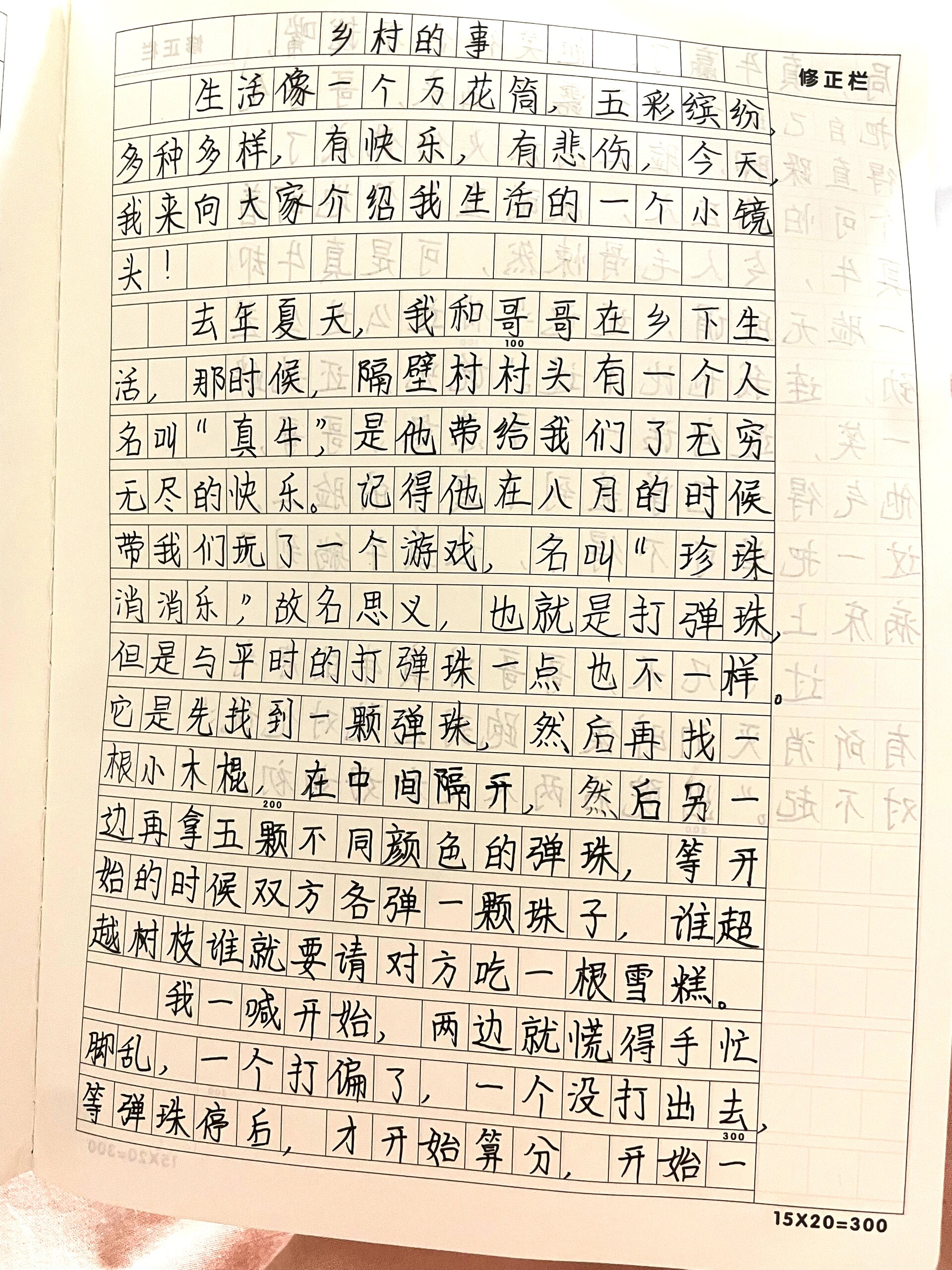 四年级,第五单元作文《生活万花筒