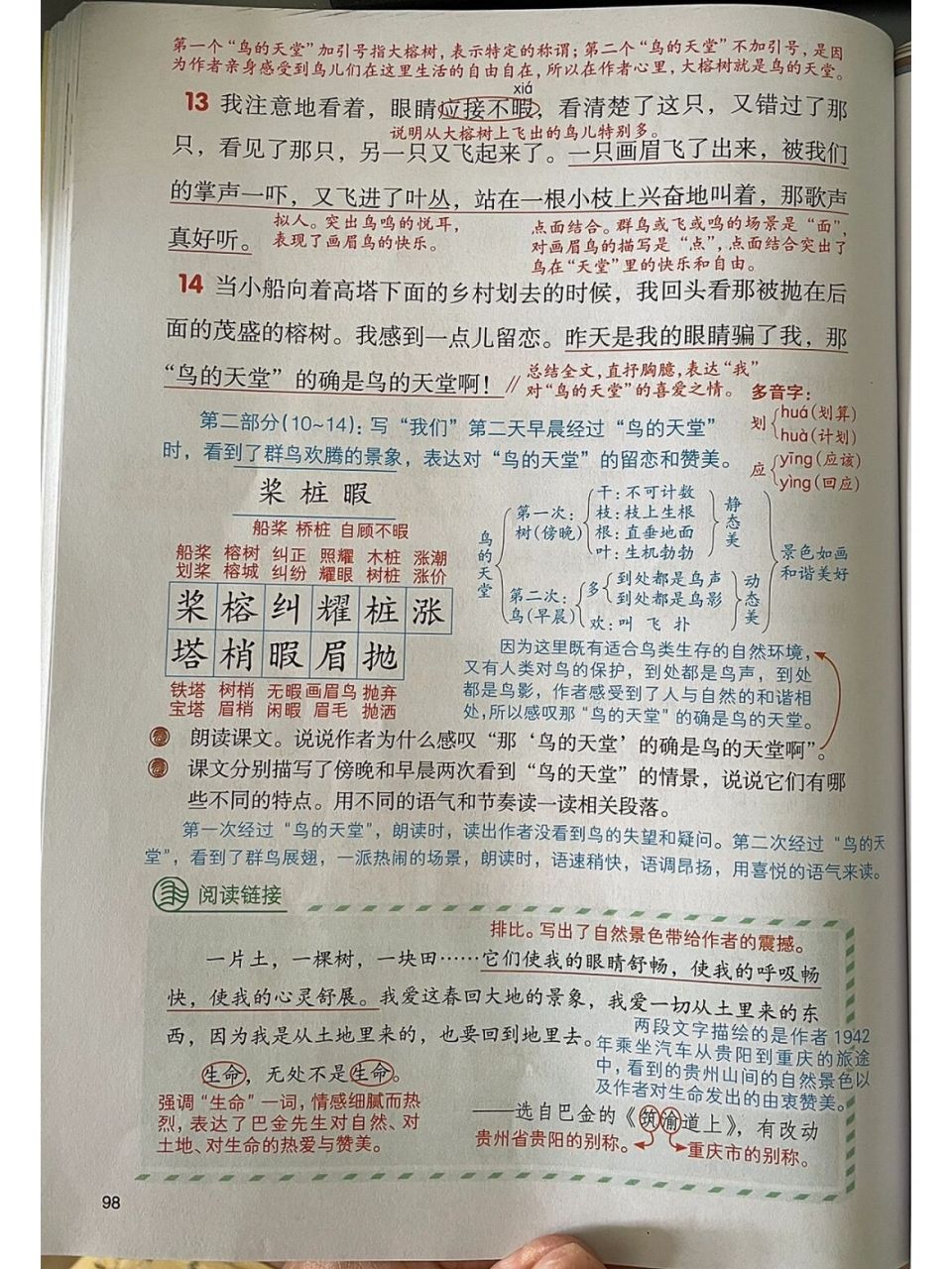 五上语文课堂笔记,鸟的天堂