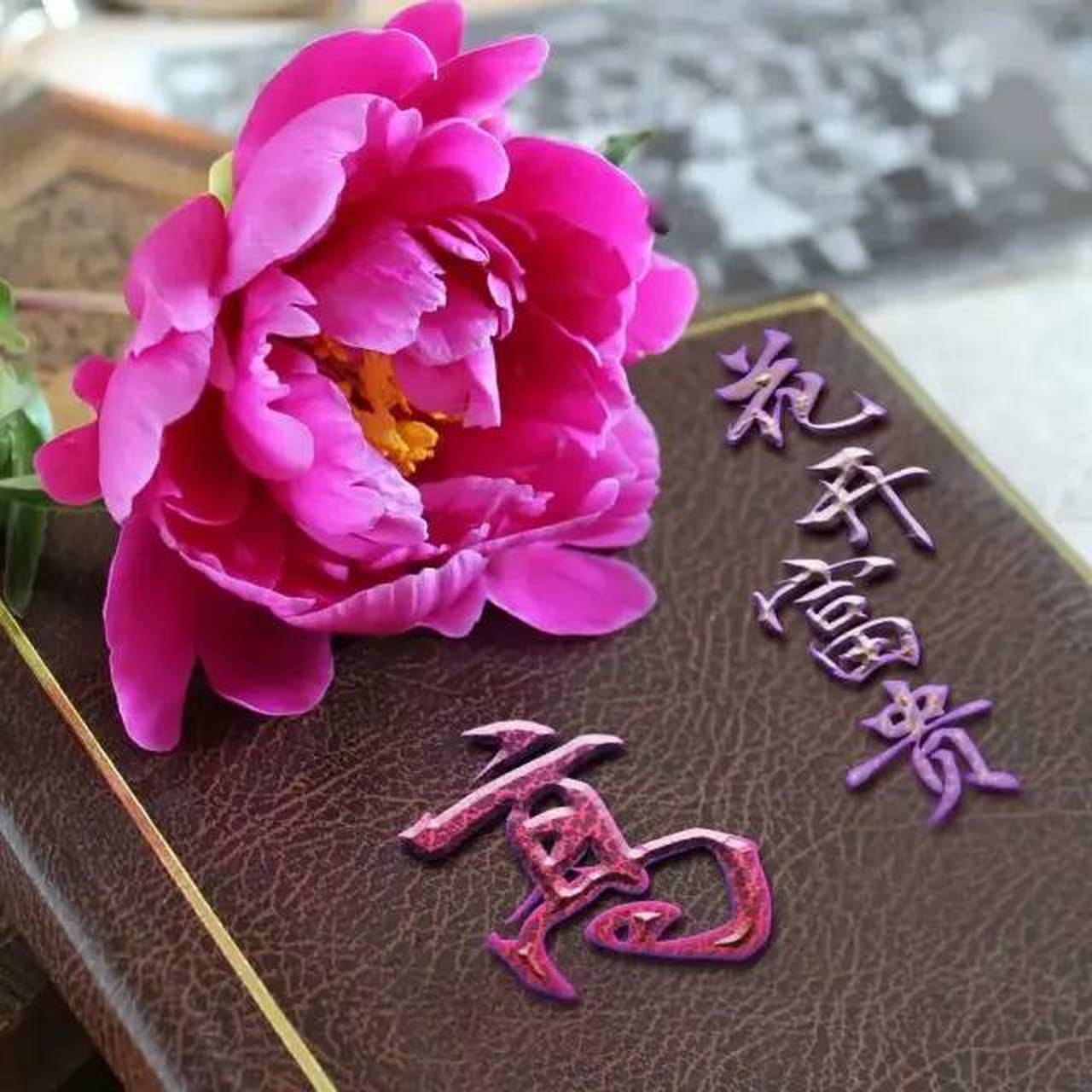 下面是不同样式的高姓微信头像,现在送给喜欢换头像的你,让你的头耨