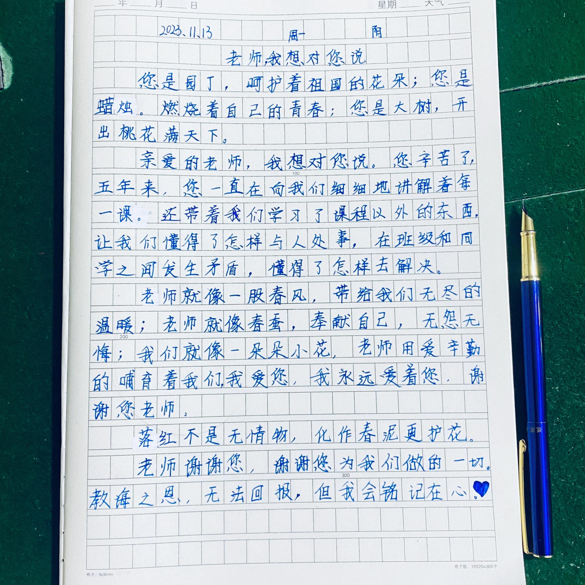 砥砺奋发,笃行不怠 老师我想对你说作文哦!300字🈶️