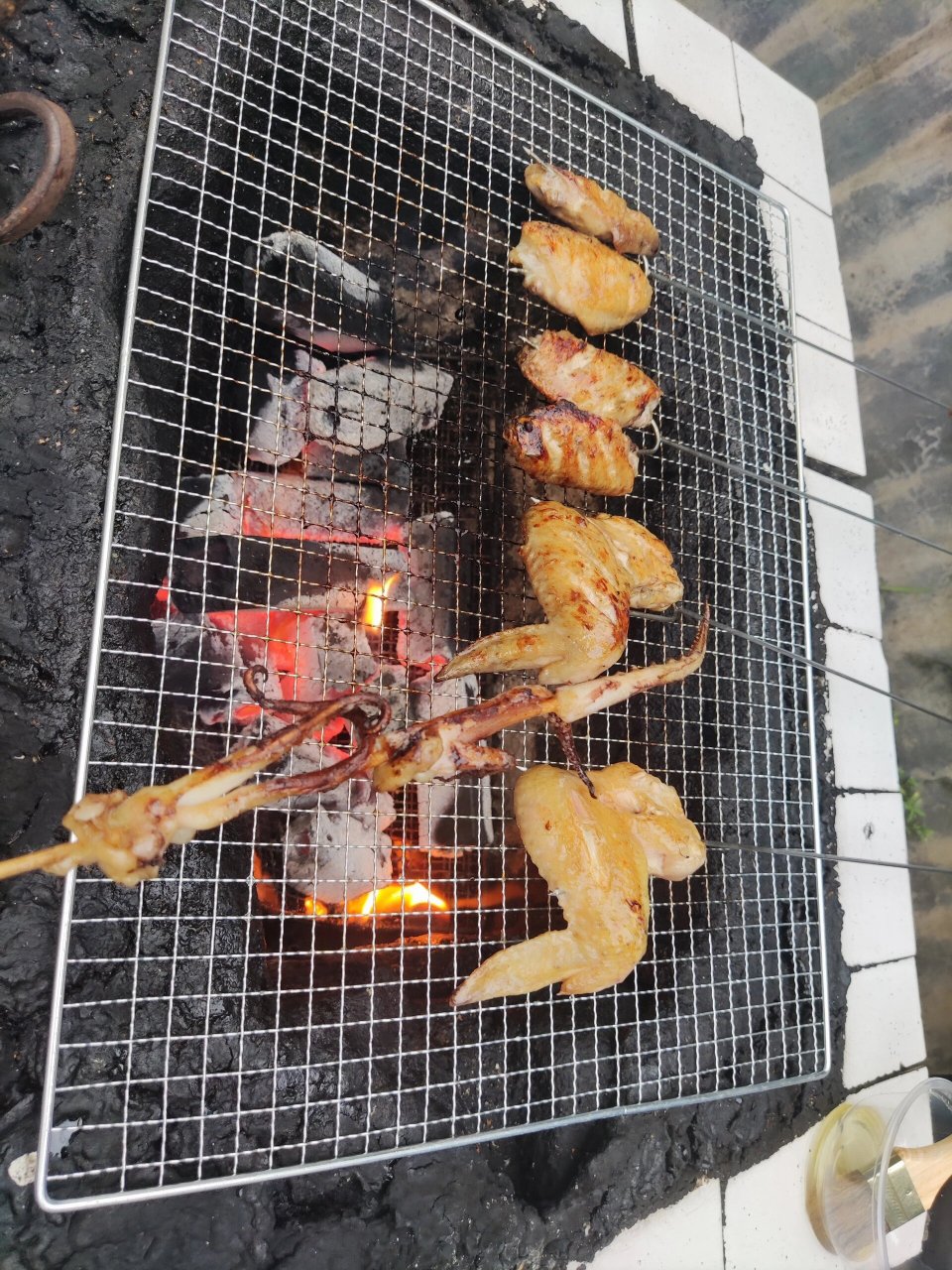 在华南植物园烧烤场订位,洗菜备料,生炉起火97 畅诉毕业后的种种