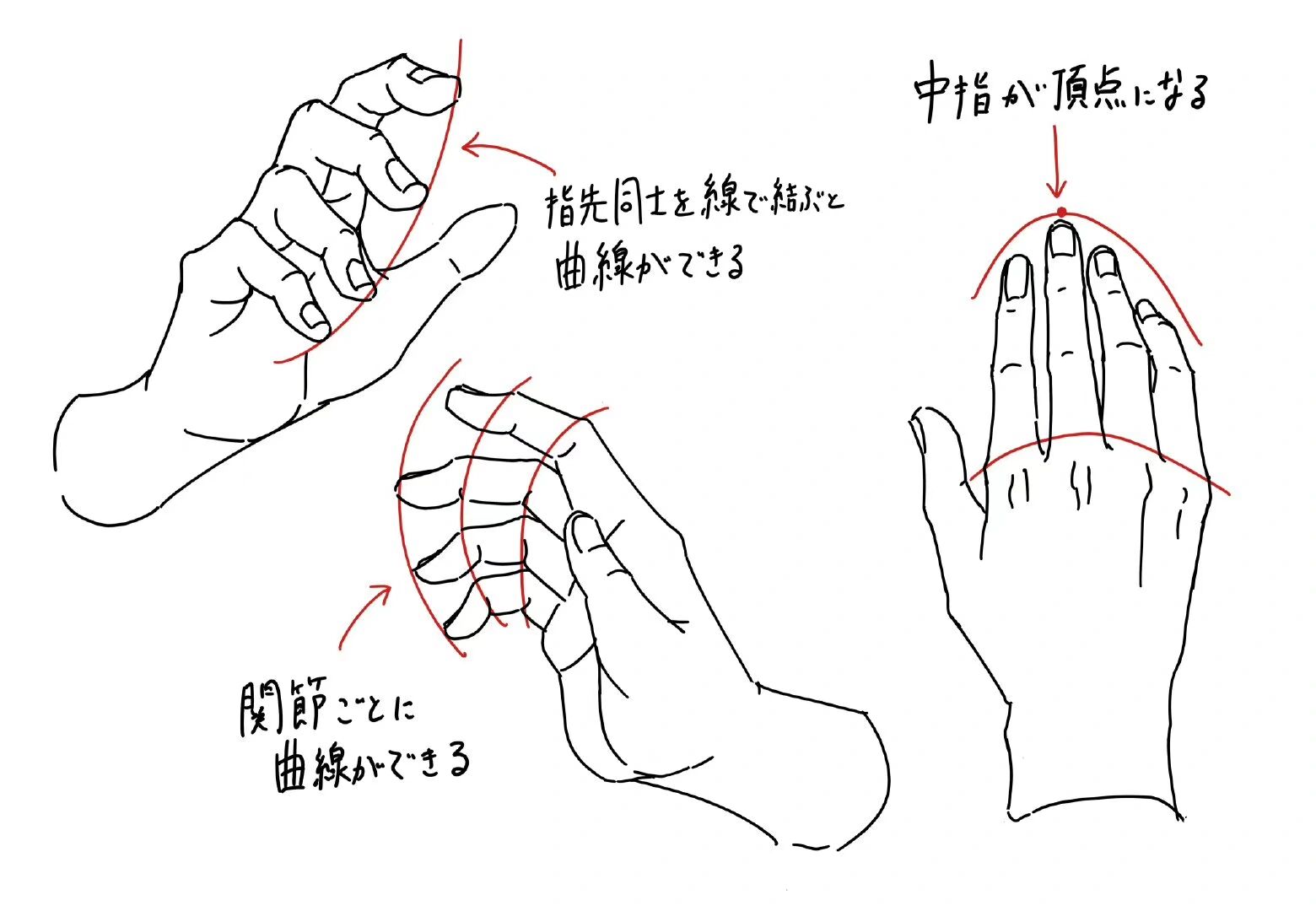 动漫画人物结构绘画参考素材教程,码了!