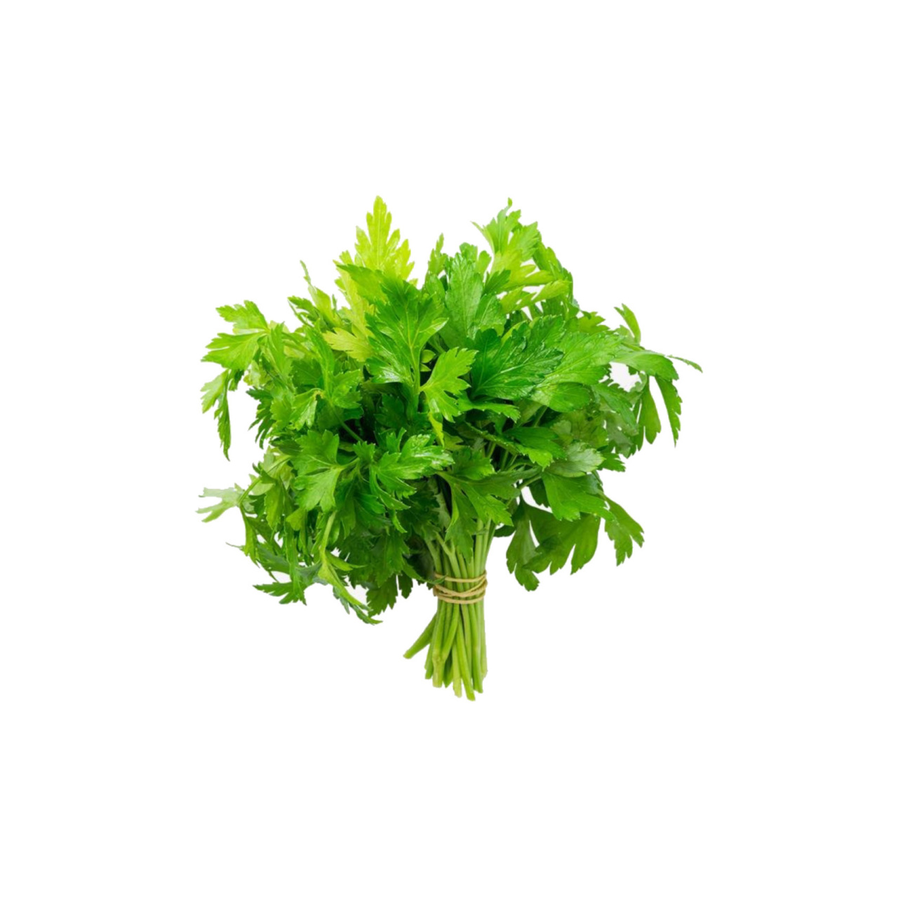 食物头像 | 香菜