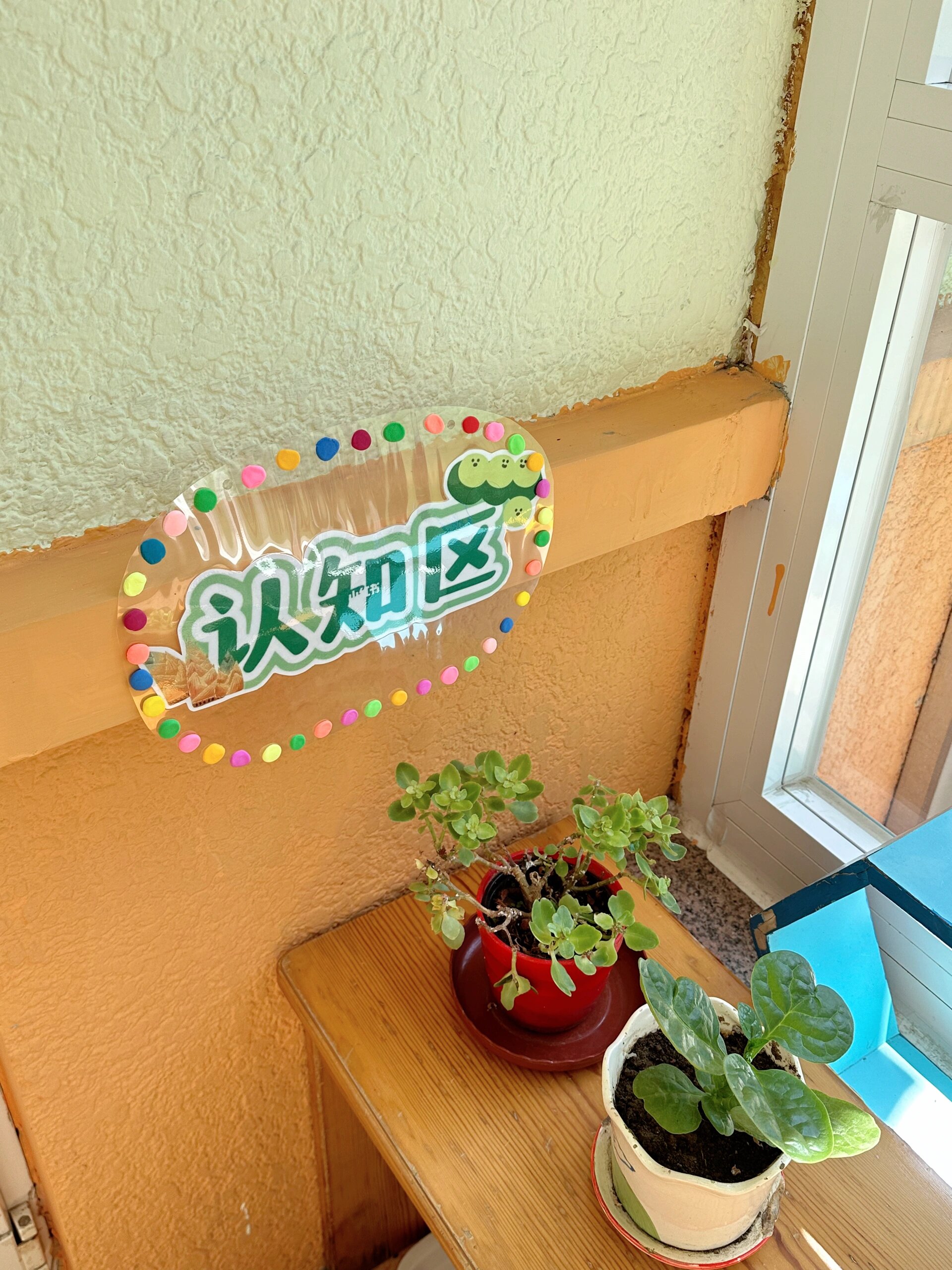 小班|自然角环境创设🌸🌼🌷☘️🌿🌻🪴 🌸我们班的