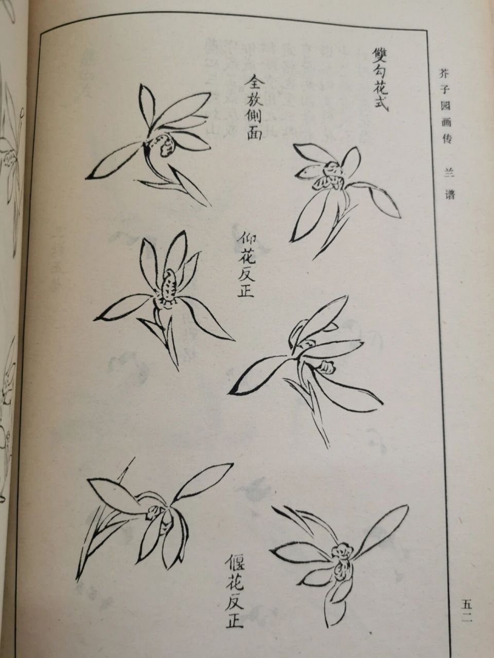 兰花画法 画墨兰的时候如果形把握不准,可以先双钩一下,有助于对花形