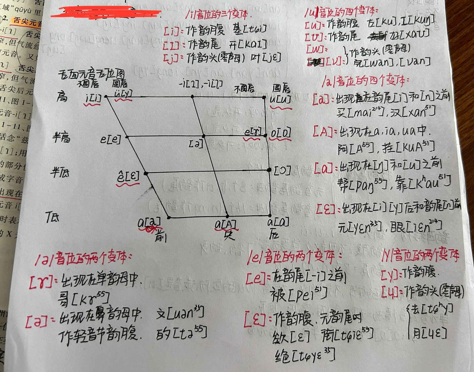 单元音舌位图图片