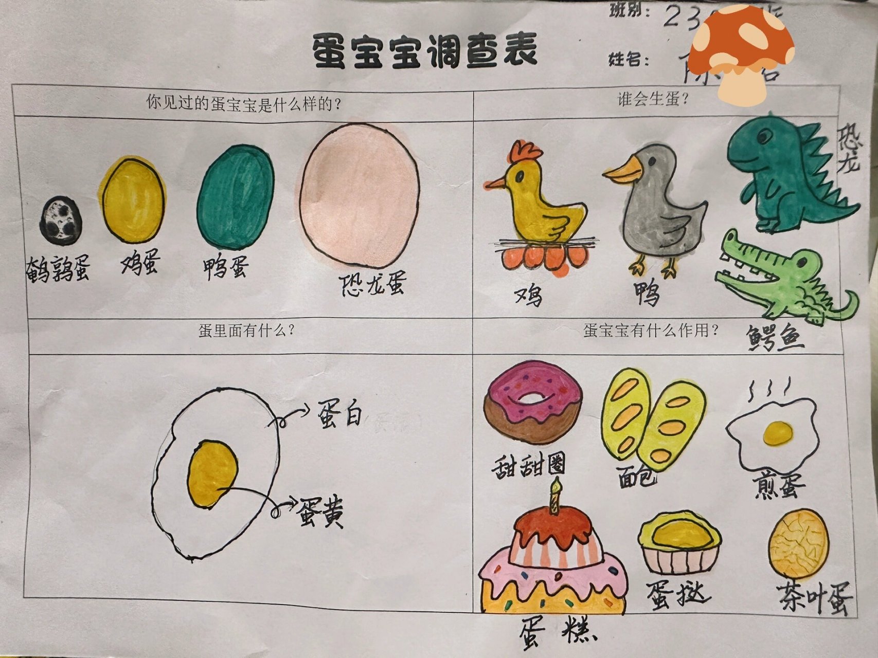 幼儿园"蛋宝宝调查表"77晒秋调查表 费妈的幼儿园作业尽力了 图一画