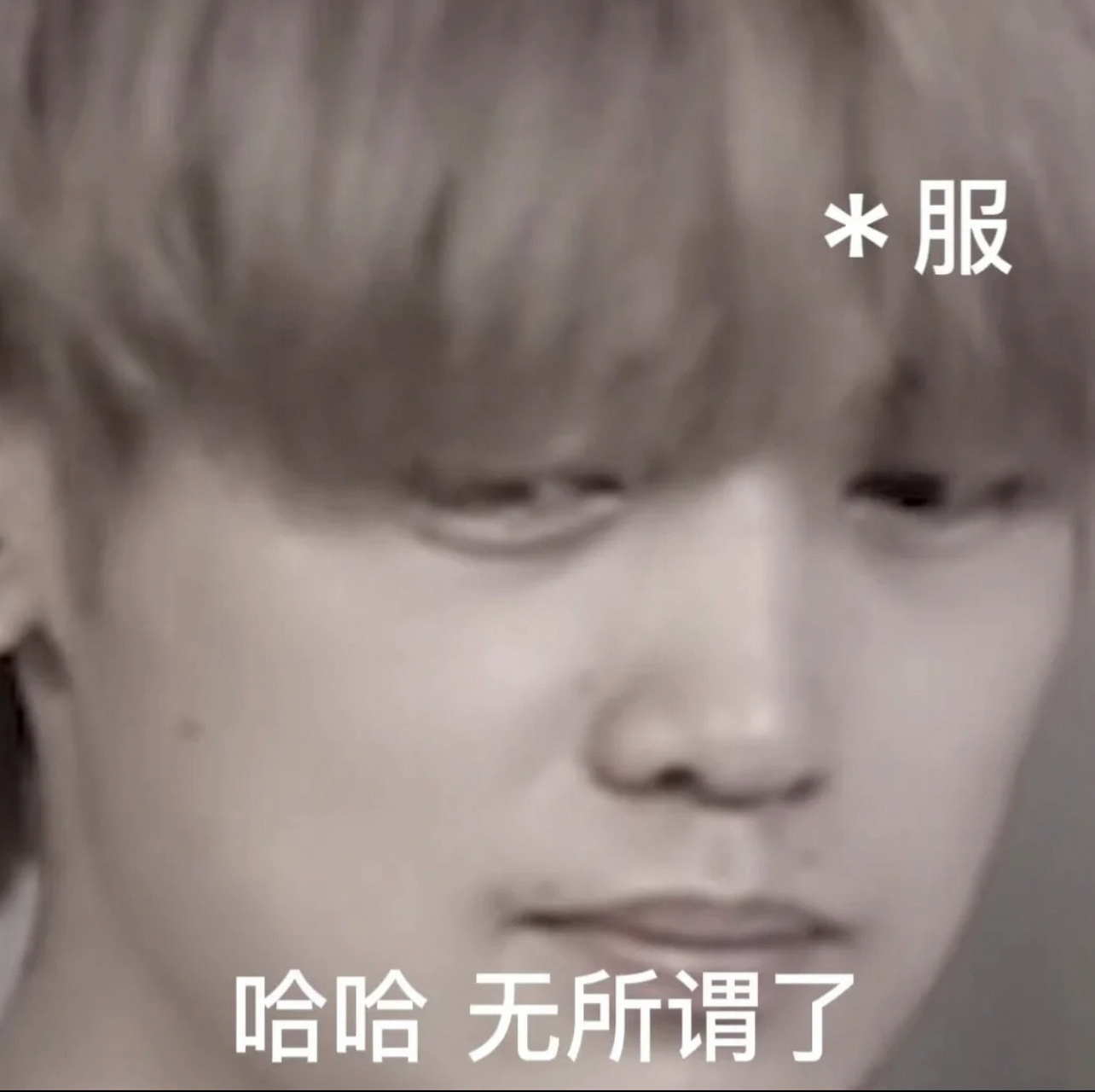 高斯の表情包 看你们挺喜欢这个的,再出一期单独的高斯表情包