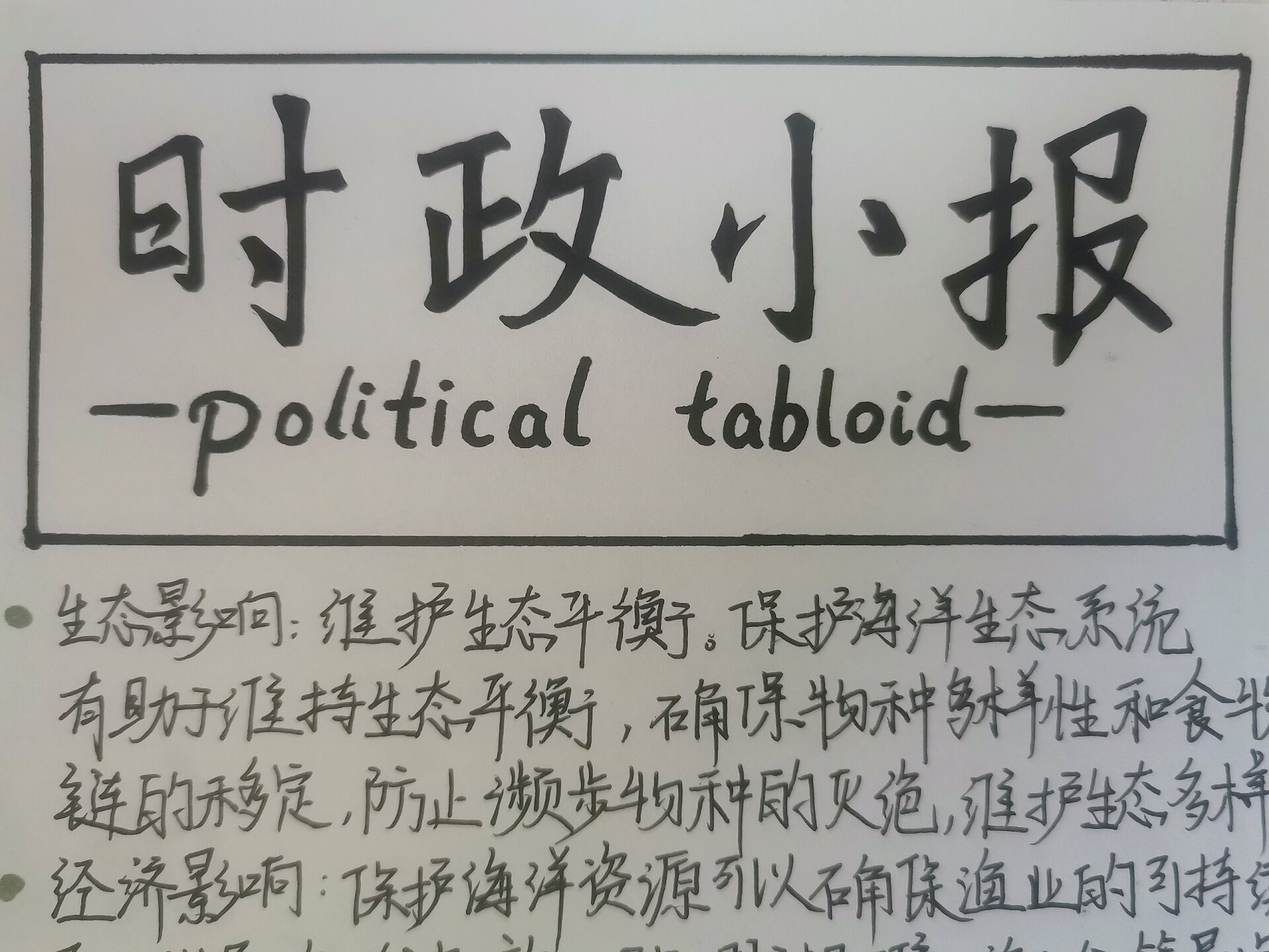 时政评析手抄报