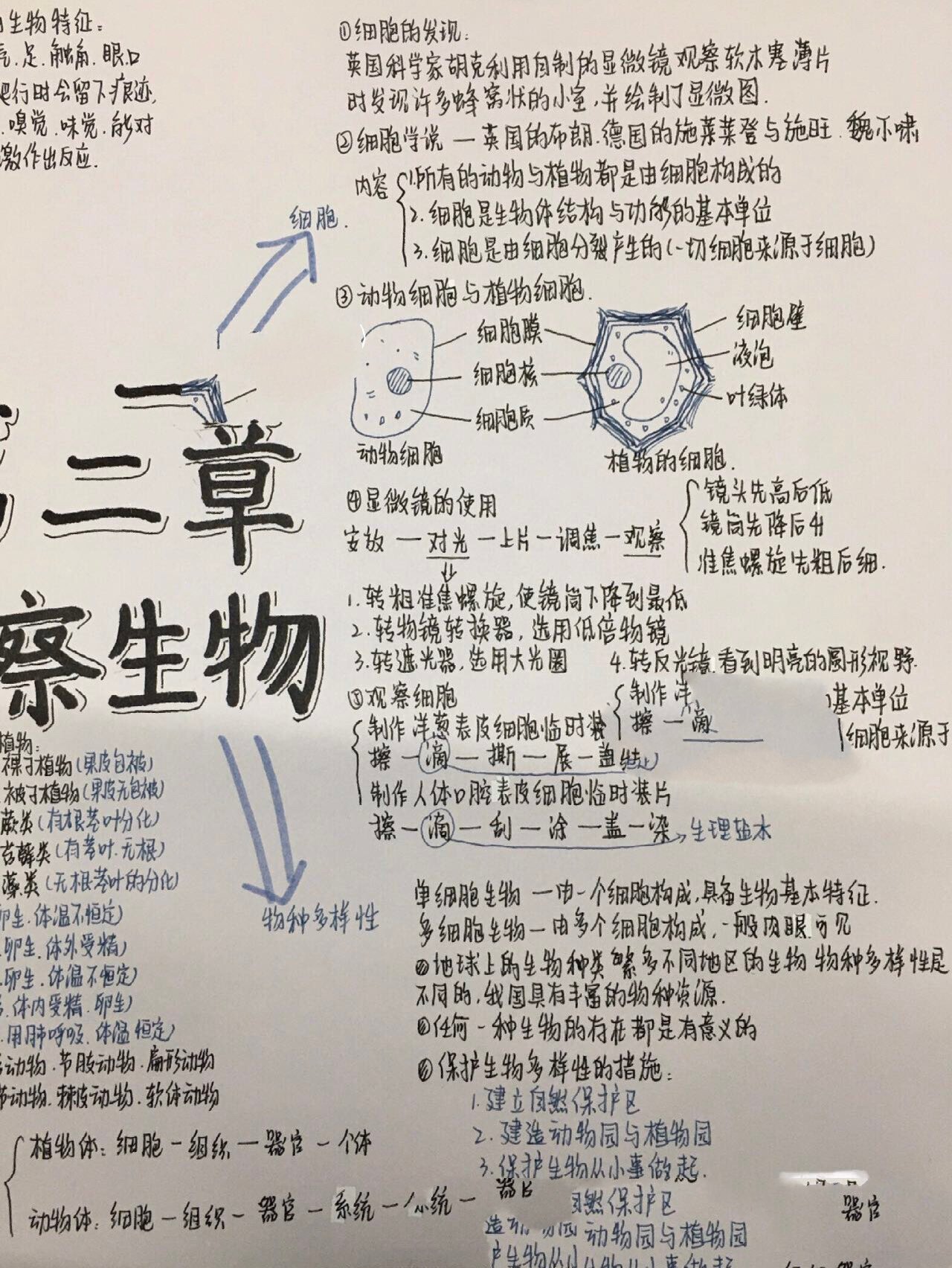 七上走近科学思维导图图片