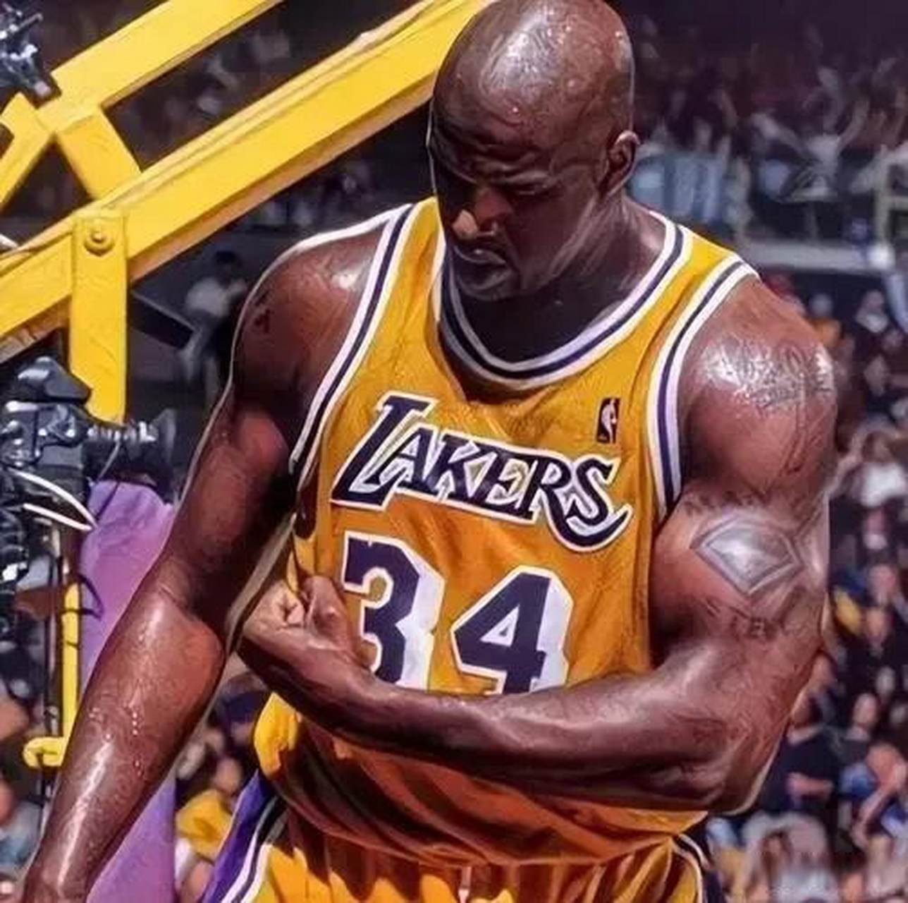 奥尼尔身高2.16米,体重巅峰155公斤. 卡尔马龙身高2