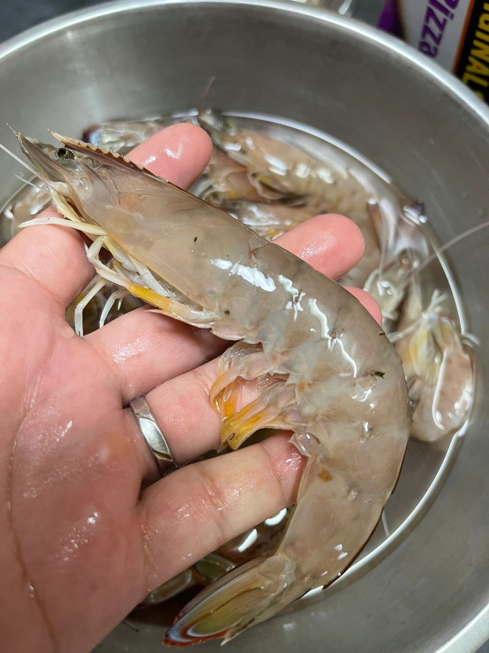 活虾鲜虾的保存 新鲜海虾(未冰冻过),活虾买回来,买多了一顿吃不完