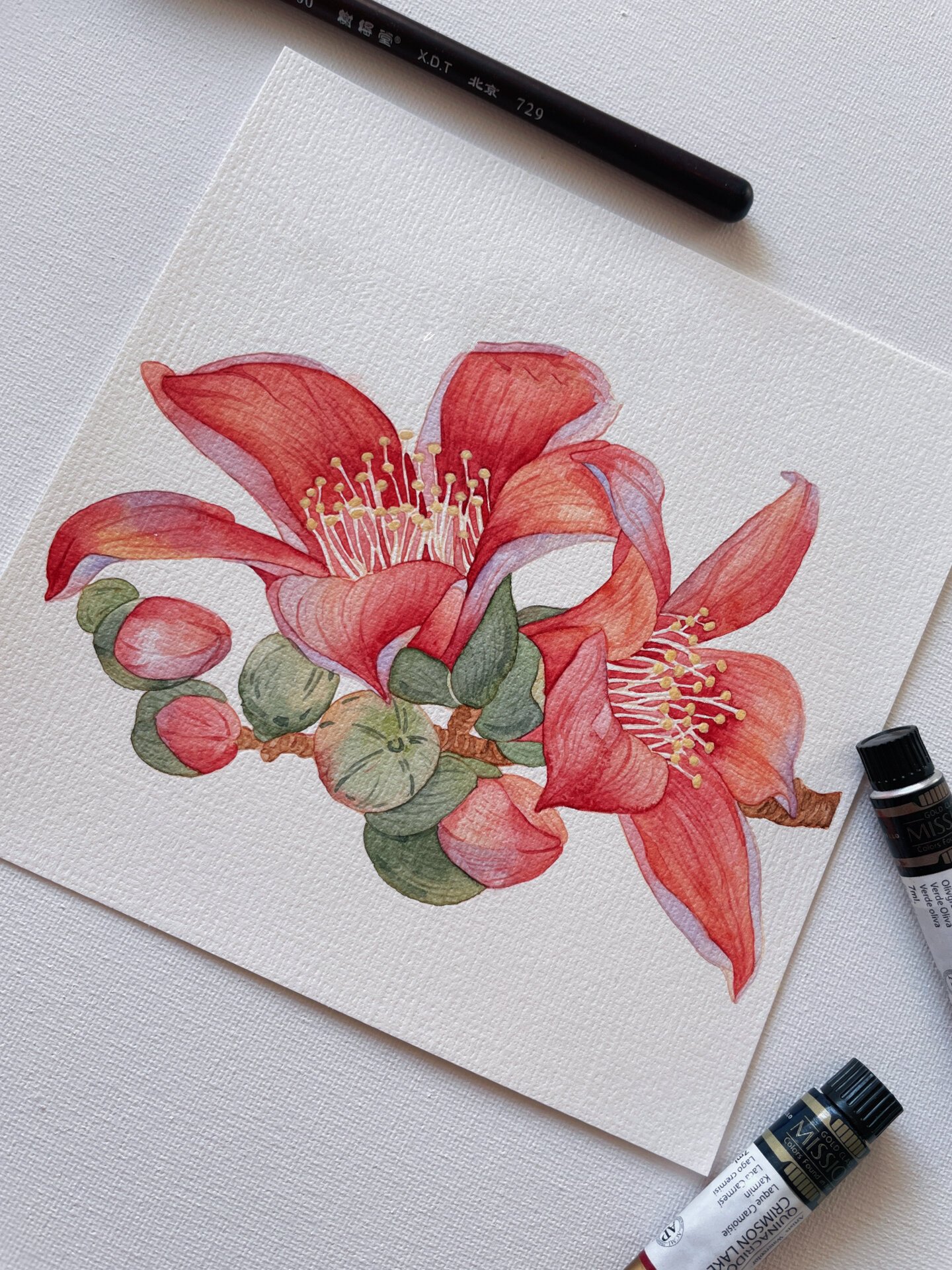 nn|木棉花 水彩花卉|原作 几树半天红似染 居人云是木棉花