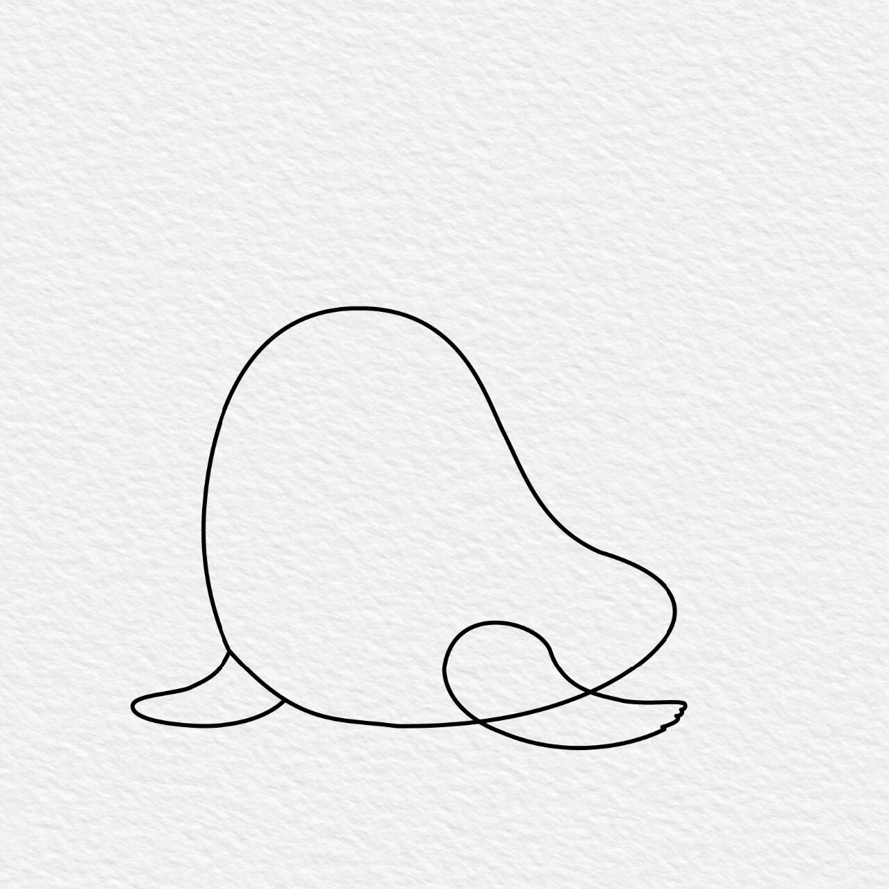小海豹简笔画可爱图片