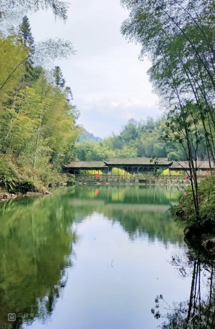 峨山竹海图片