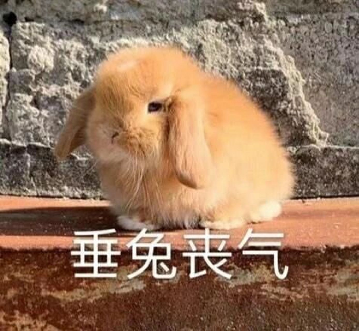 因为学校疫情,放假时间较早,我一时脑抽想不开去找了暑假工,至此开