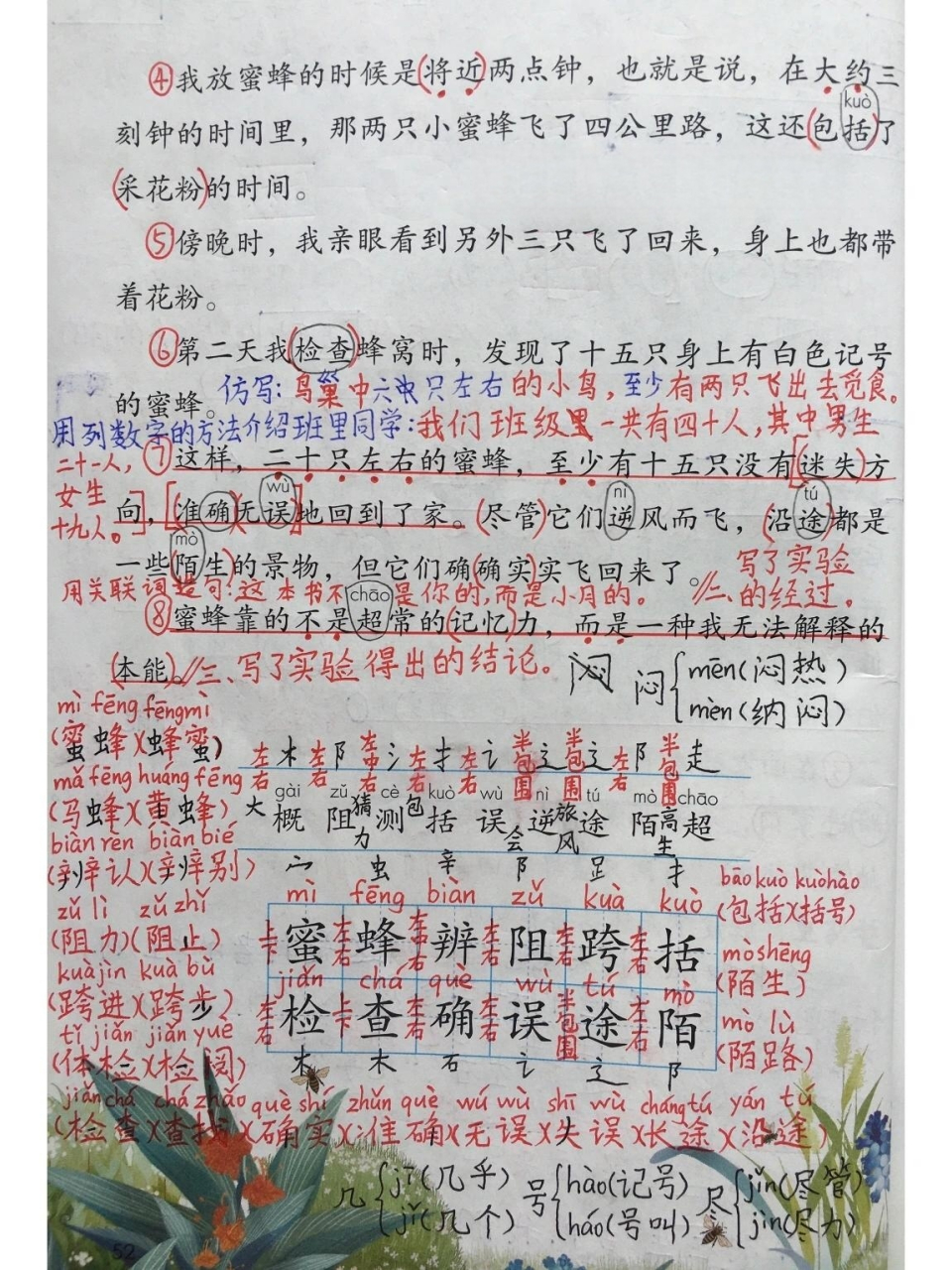 蜜蜂》笔记    93