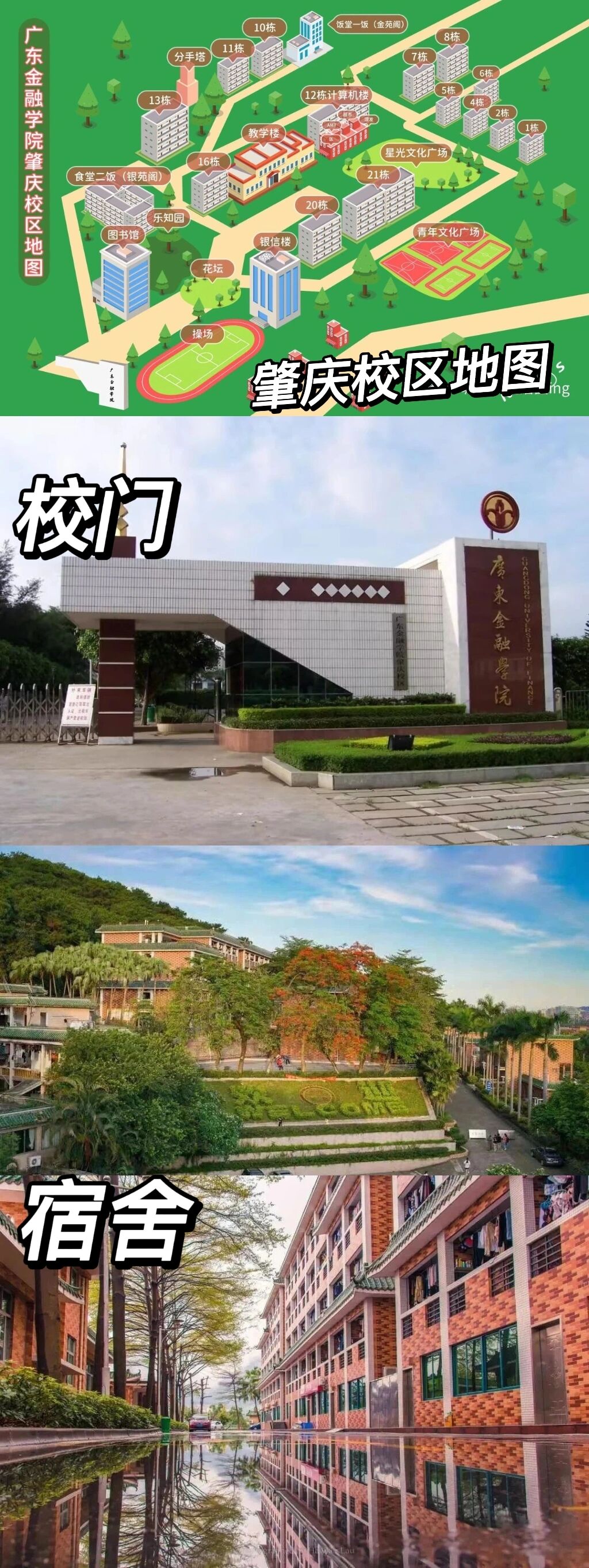 广东金融学院肇庆图片