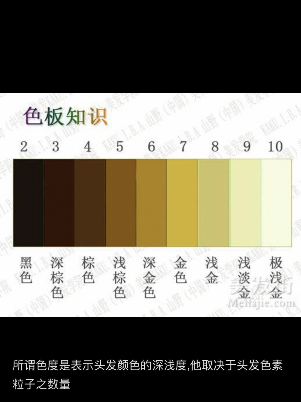 发色1到10度色度图表图片