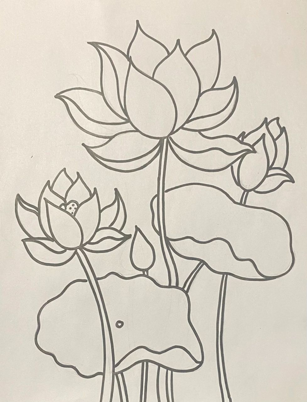 线描荷花03 线描荷花03