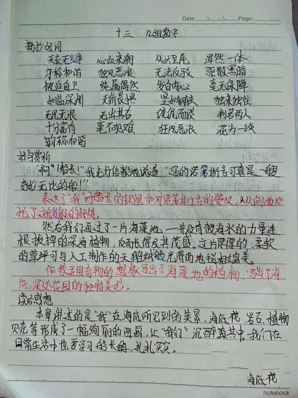 海底两万里读书笔记,第十三章,带赏析