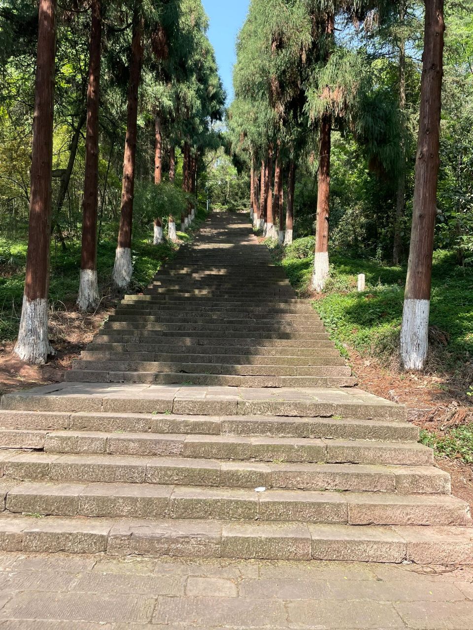 遵义凤凰山国家森林公园 顶着29度的高温爬山 一包纸一瓶水两条腿 是