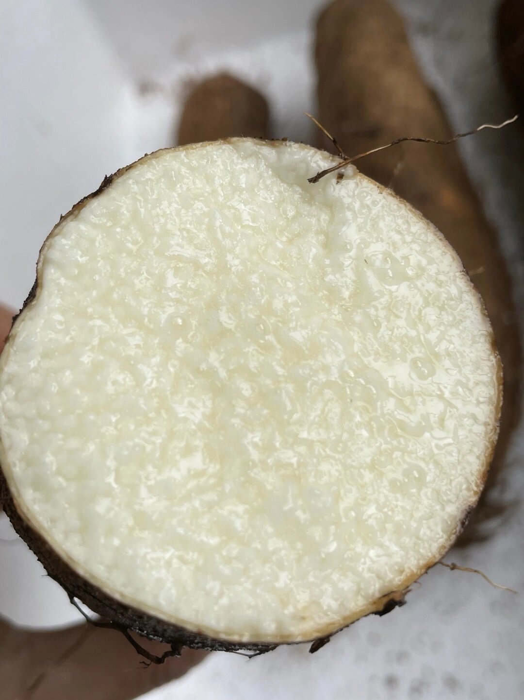 雪莲果的功效和作用,雪莲果怎么吃最有营养