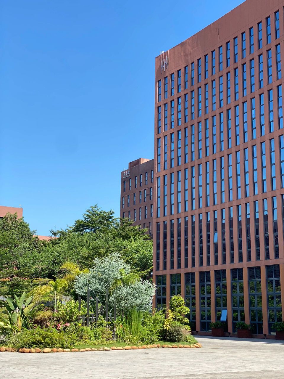 深圳艺术学校,我毕业啦!