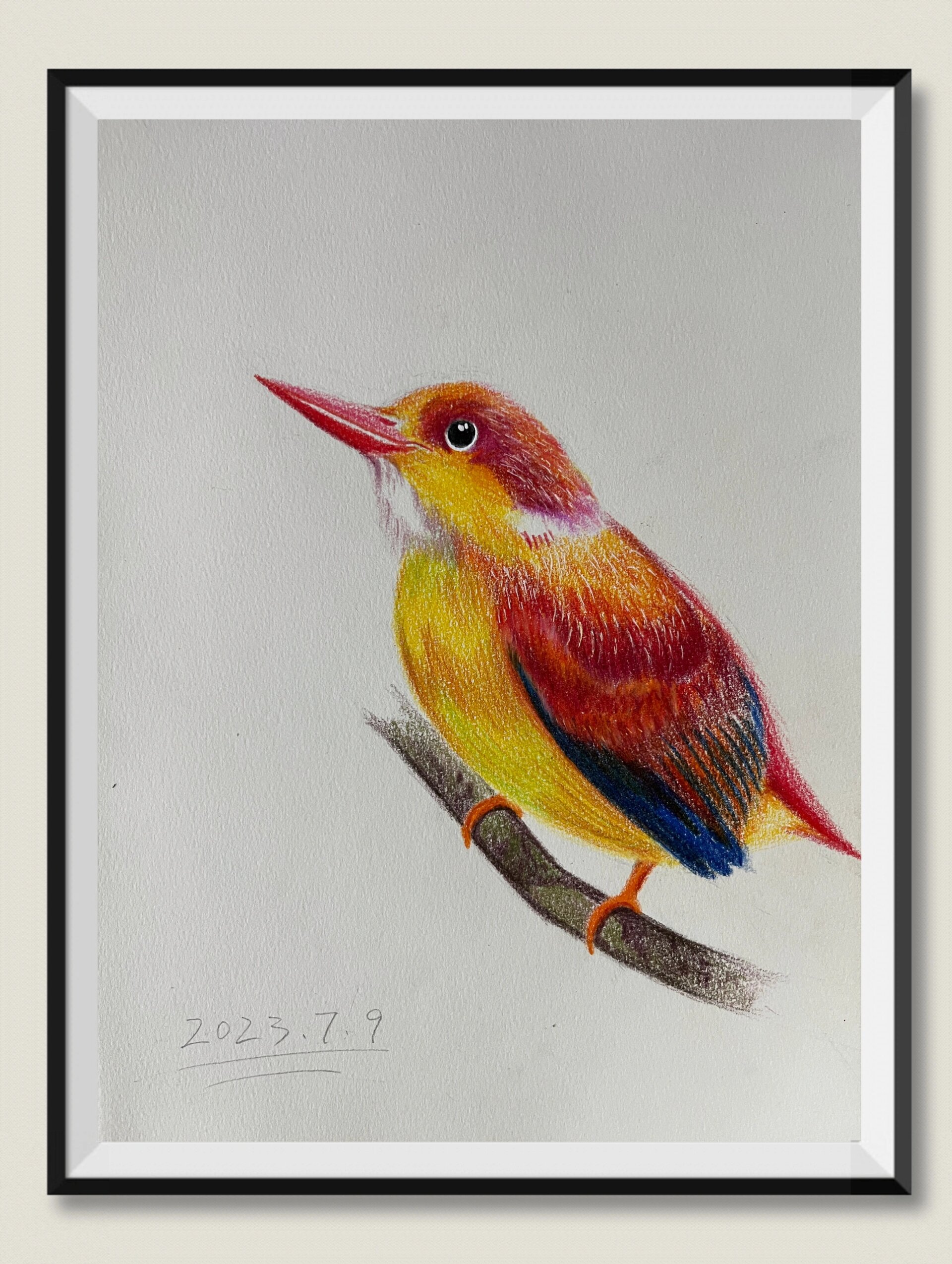 彩铅画手绘～鸟儿  鸟儿