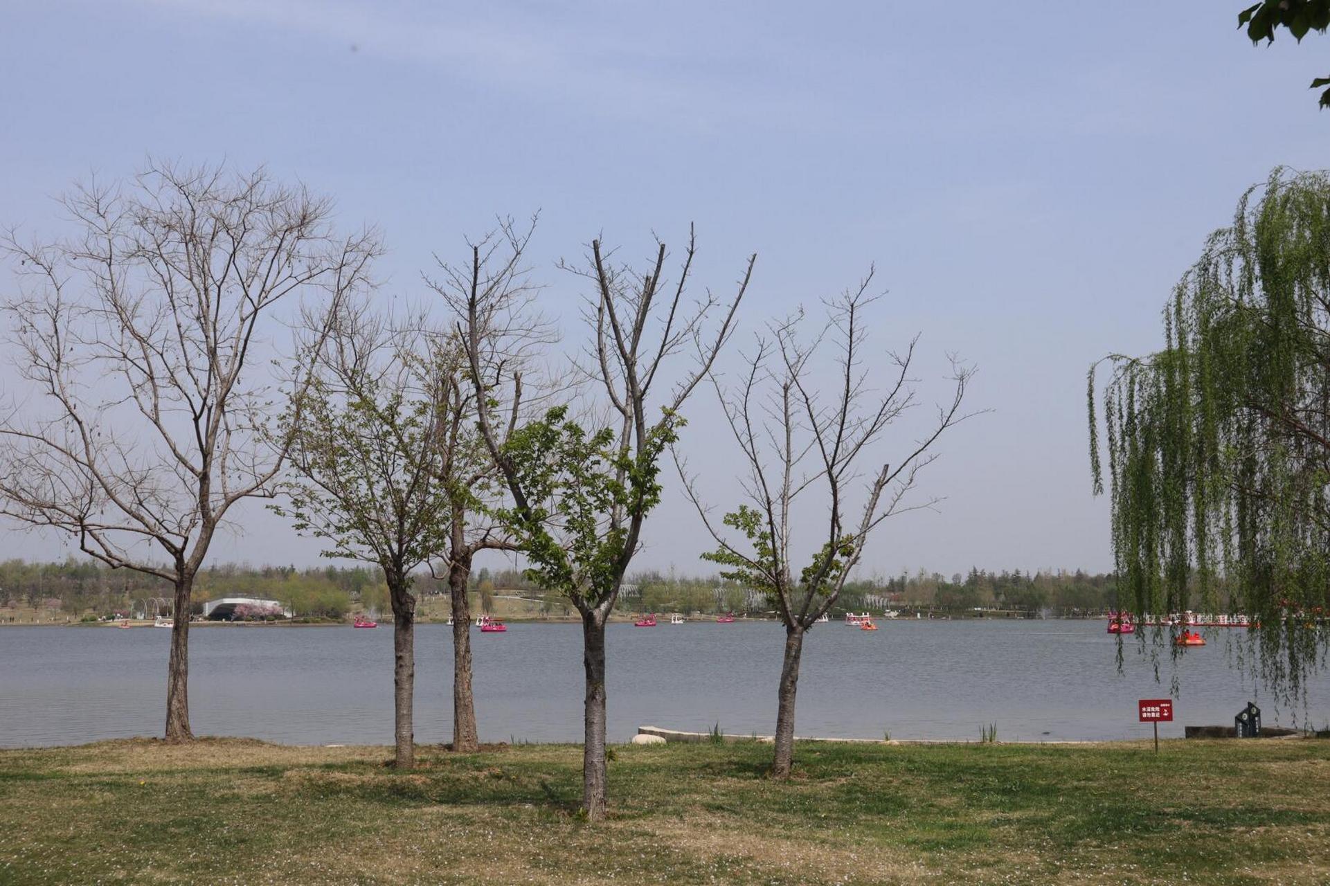 4.6|济宁凤凰台植物公园