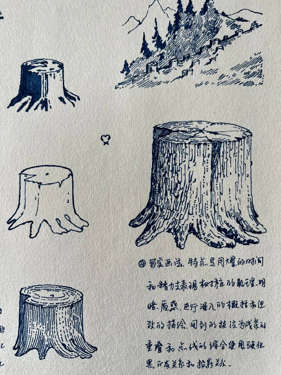 树桩的画法笔记 今天列举了常见的四种画法,注意事项和特点写清楚了