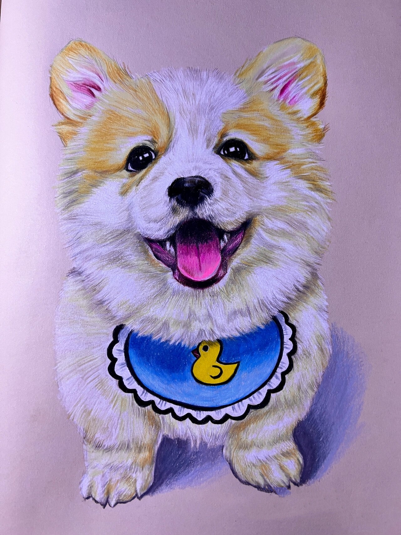 一只小柯基彩铅手绘插画