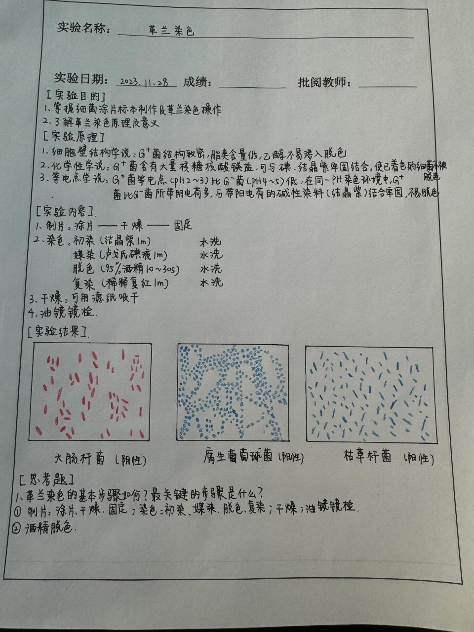 抗酸染色实验报告画图图片