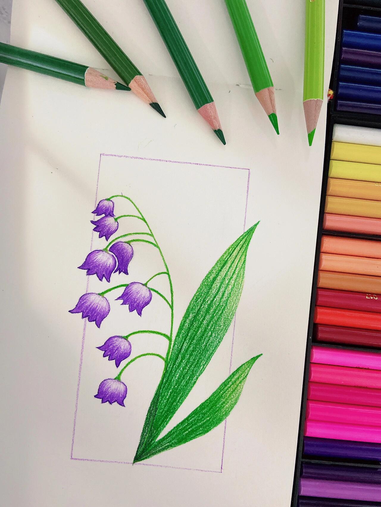 彩铅画|风铃花幸福的铃音🎐