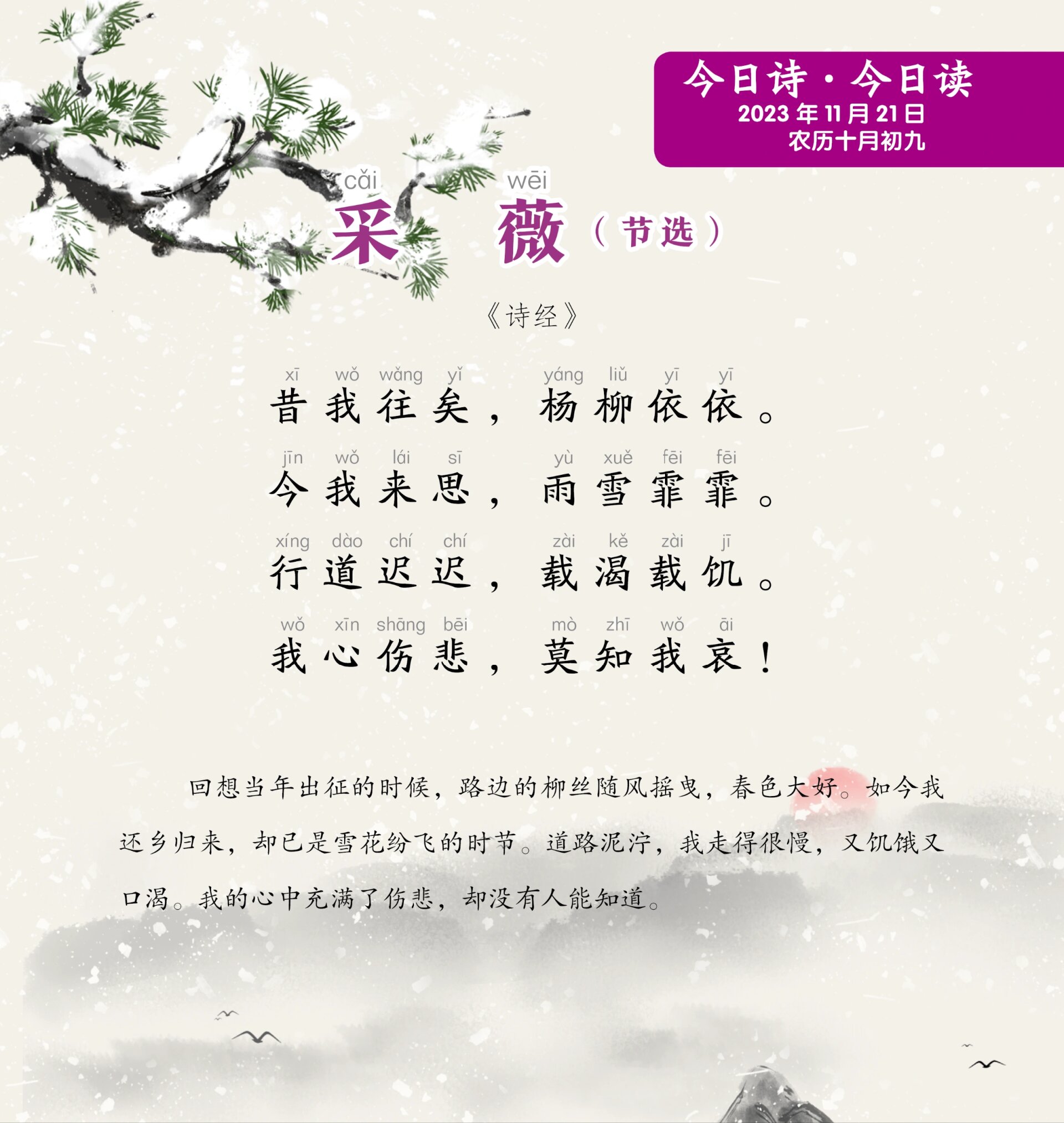 今日读《采薇》 这是来自《诗经·小雅》中的一首诗歌.