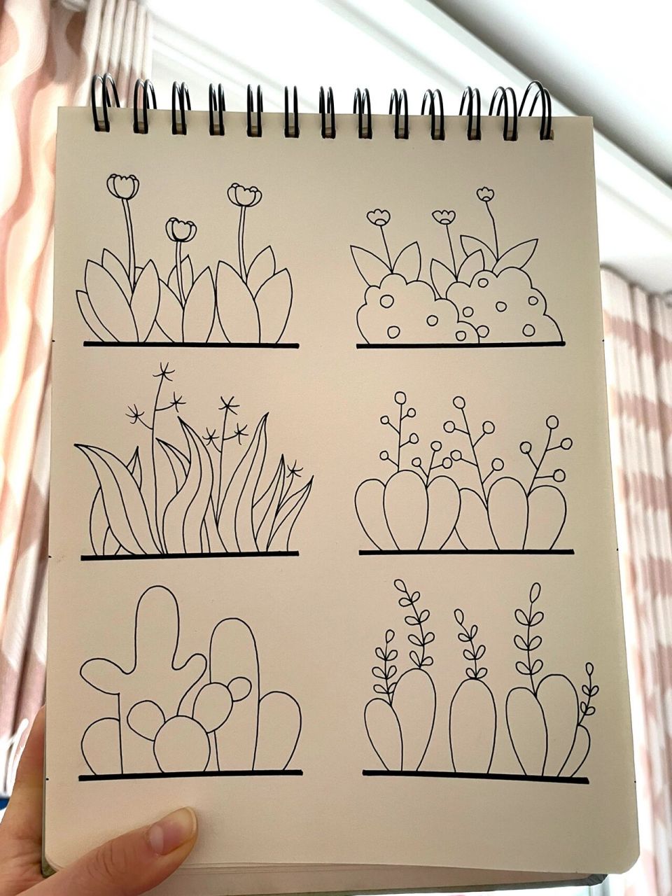 黑白简笔画 简单易画 可临摹 植物类 简单唯美
