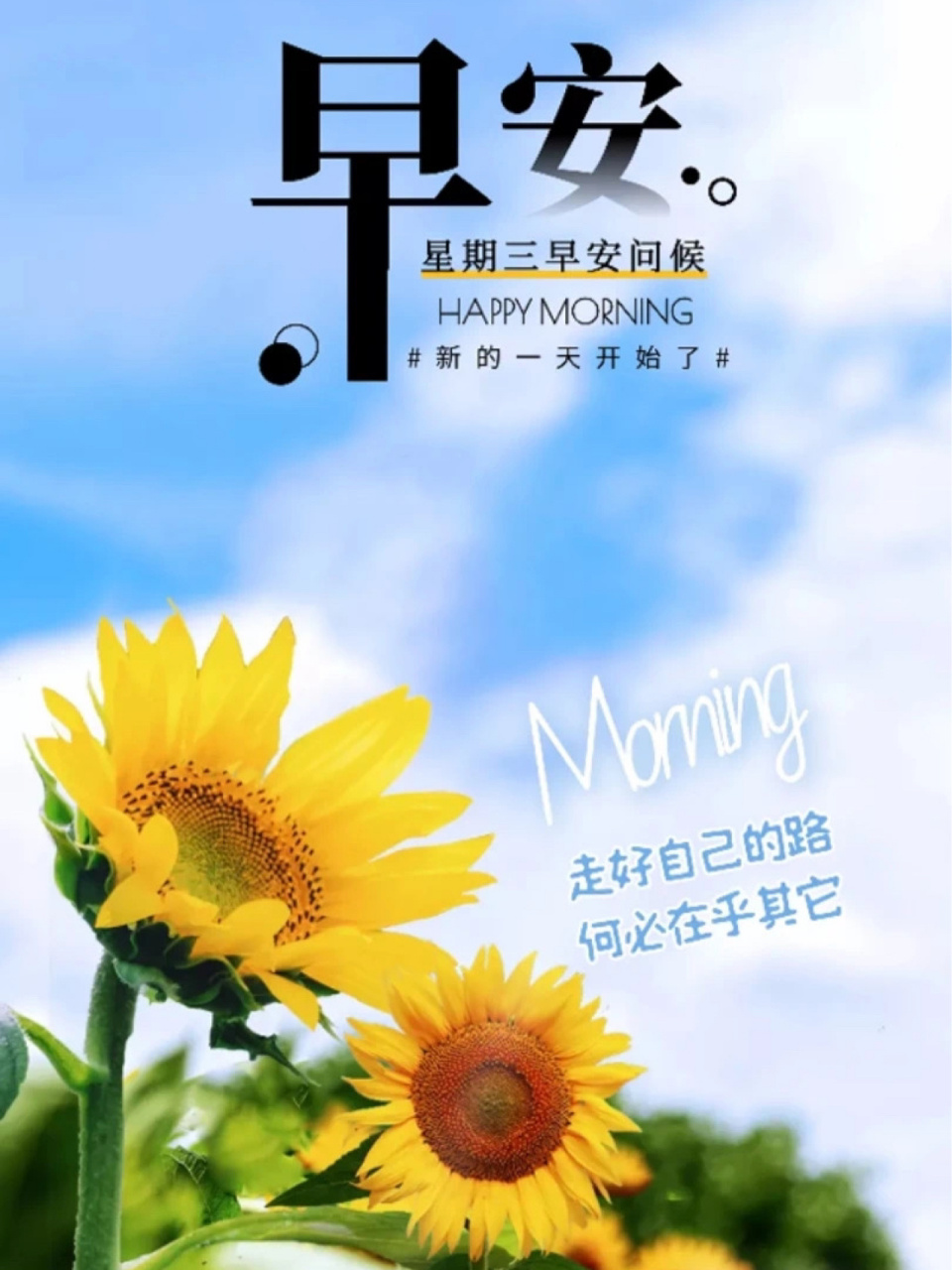 早上好,美好的一天从我的问候开始.