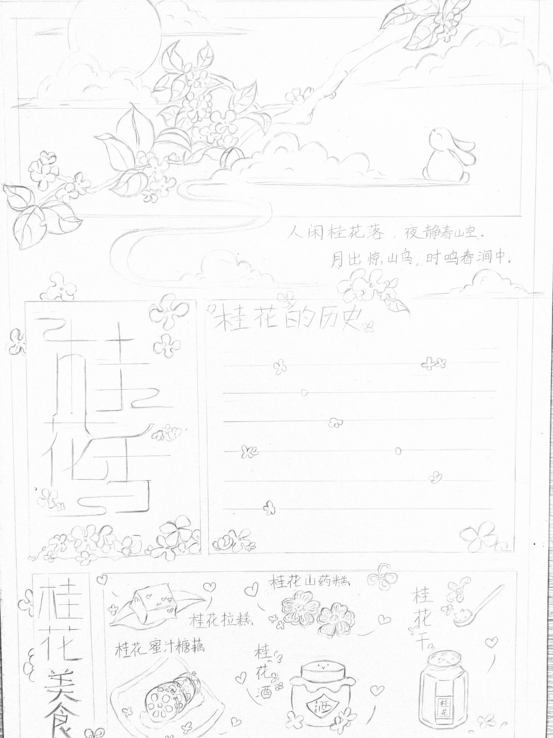 桂花手抄报 一波三折的小报 假期最后一张手抄报完工 画的要吐00了