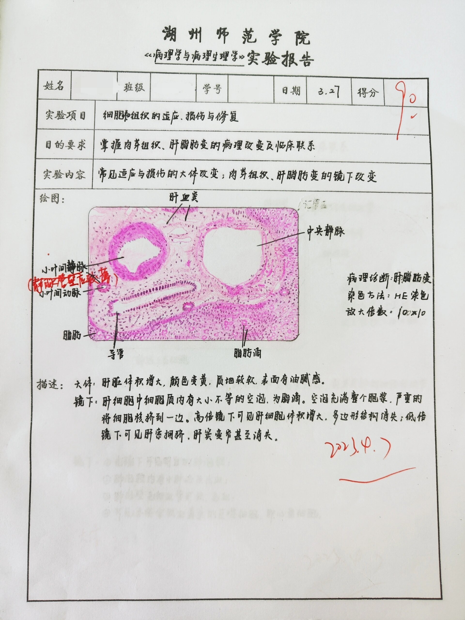 实验报告画图图片