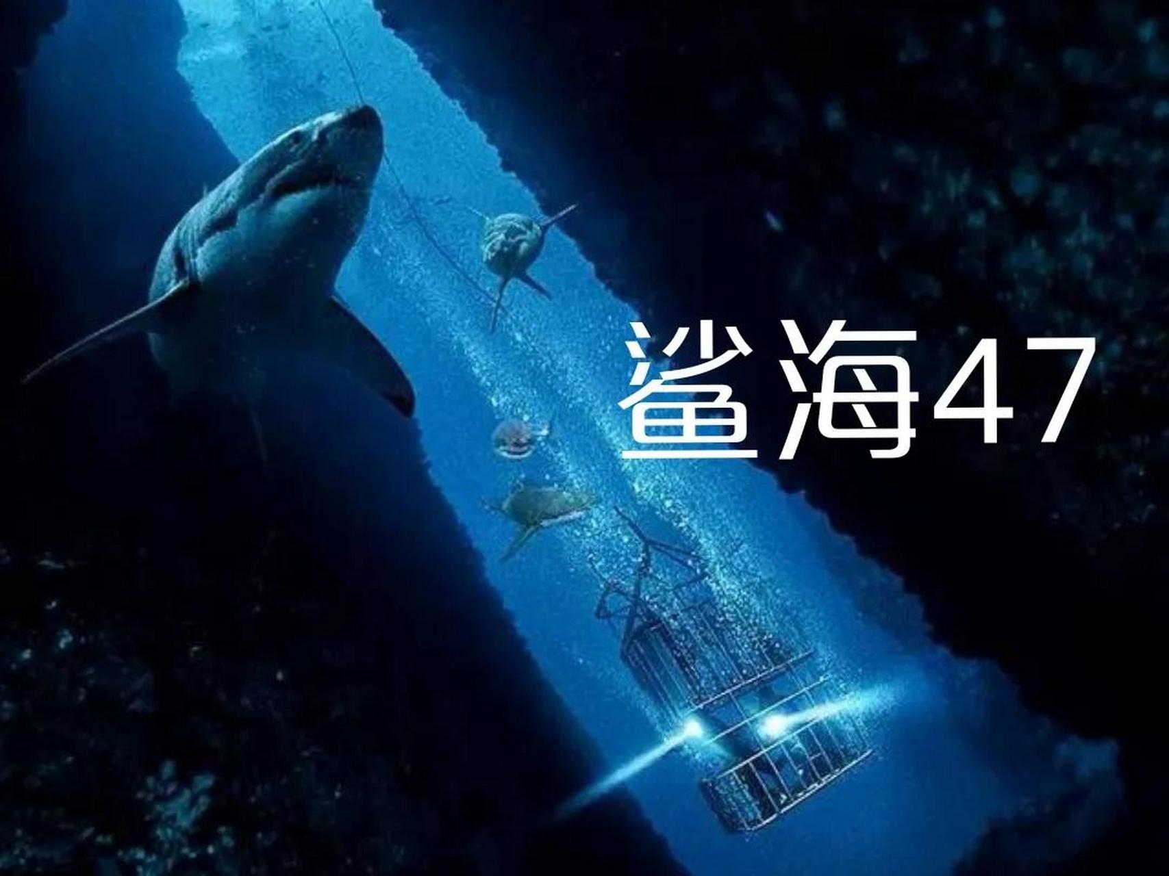两妹子被困水下观鲨铁笼    冒险逃生片《鲨海47》  每日电影推荐