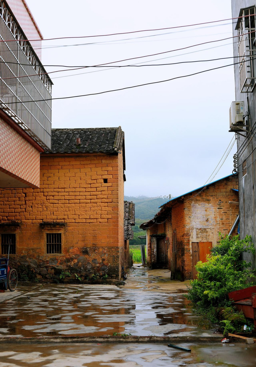 五一假期户外随手拍——惠城区芦洲镇的古村屋及田园风光惠州身边事