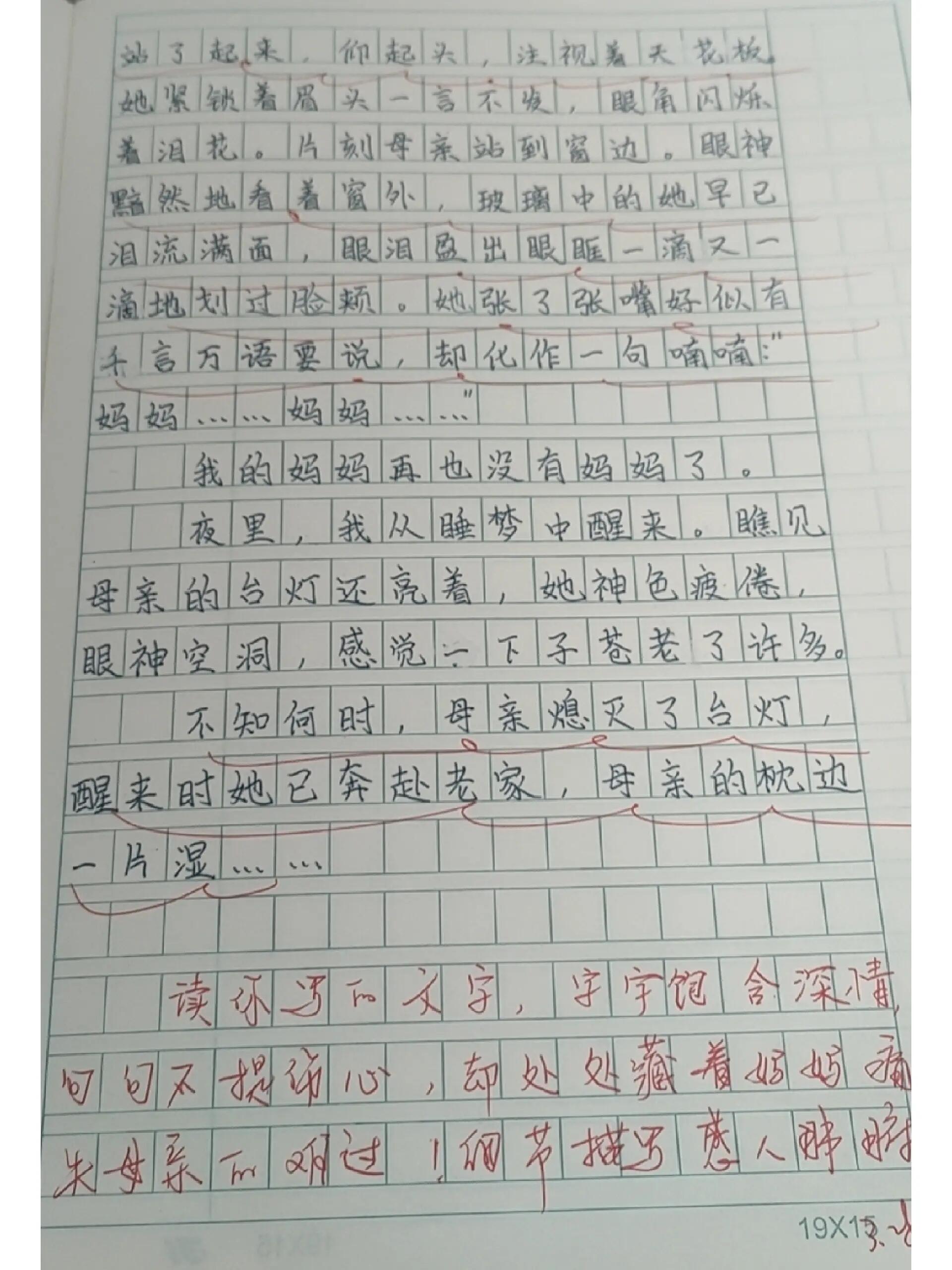 他怎么了作文300字图片