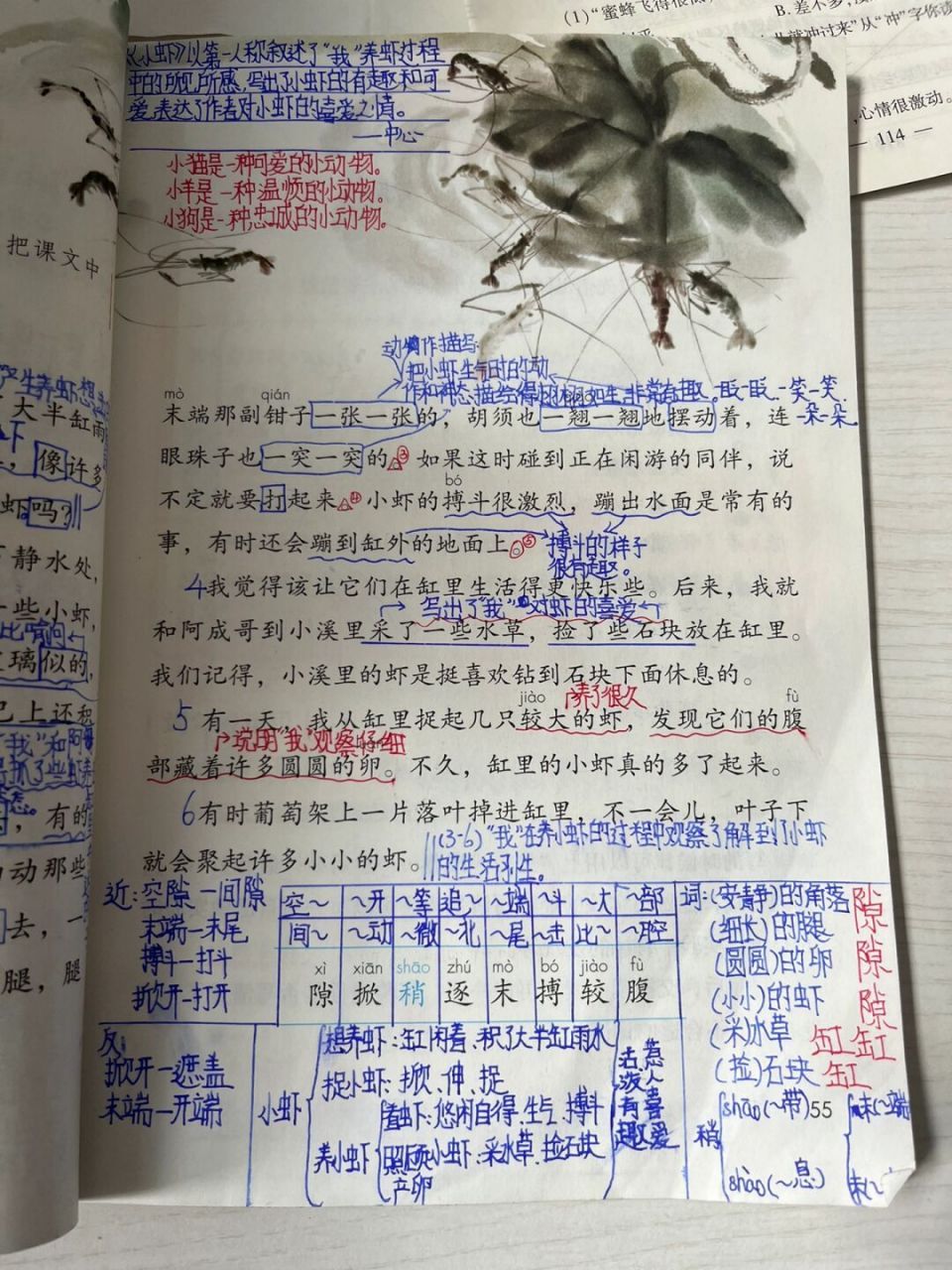 三下语文《小虾》学生笔记 #小学语文# #三年级语文# #小学语文课堂