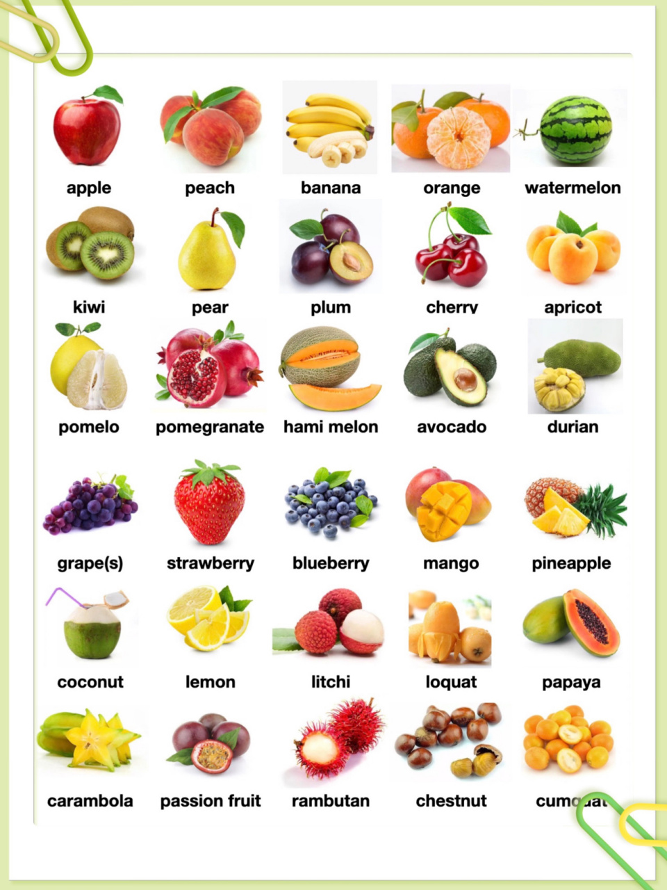 100种水果英语单词图片