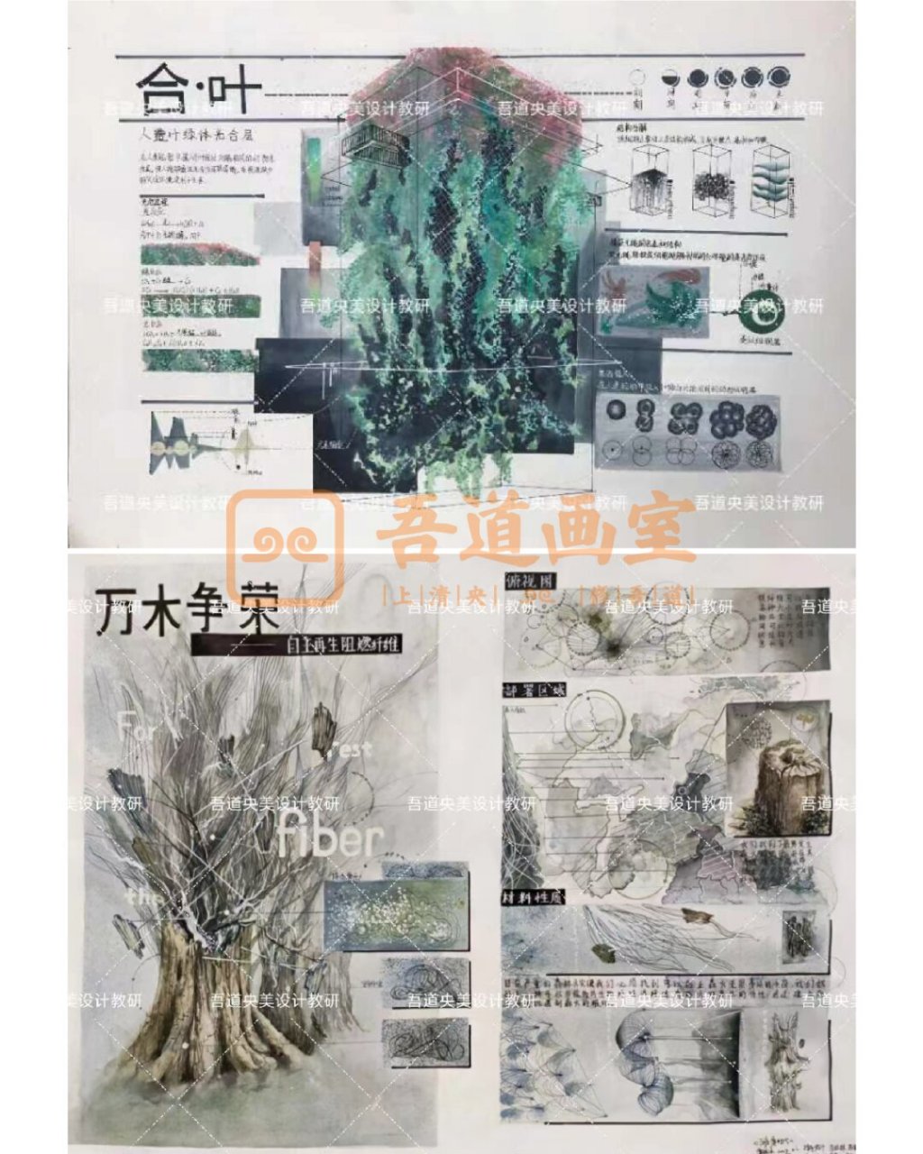 设计基础考题解析: 本次考试的考察重点主要围绕着人形机器人的发展