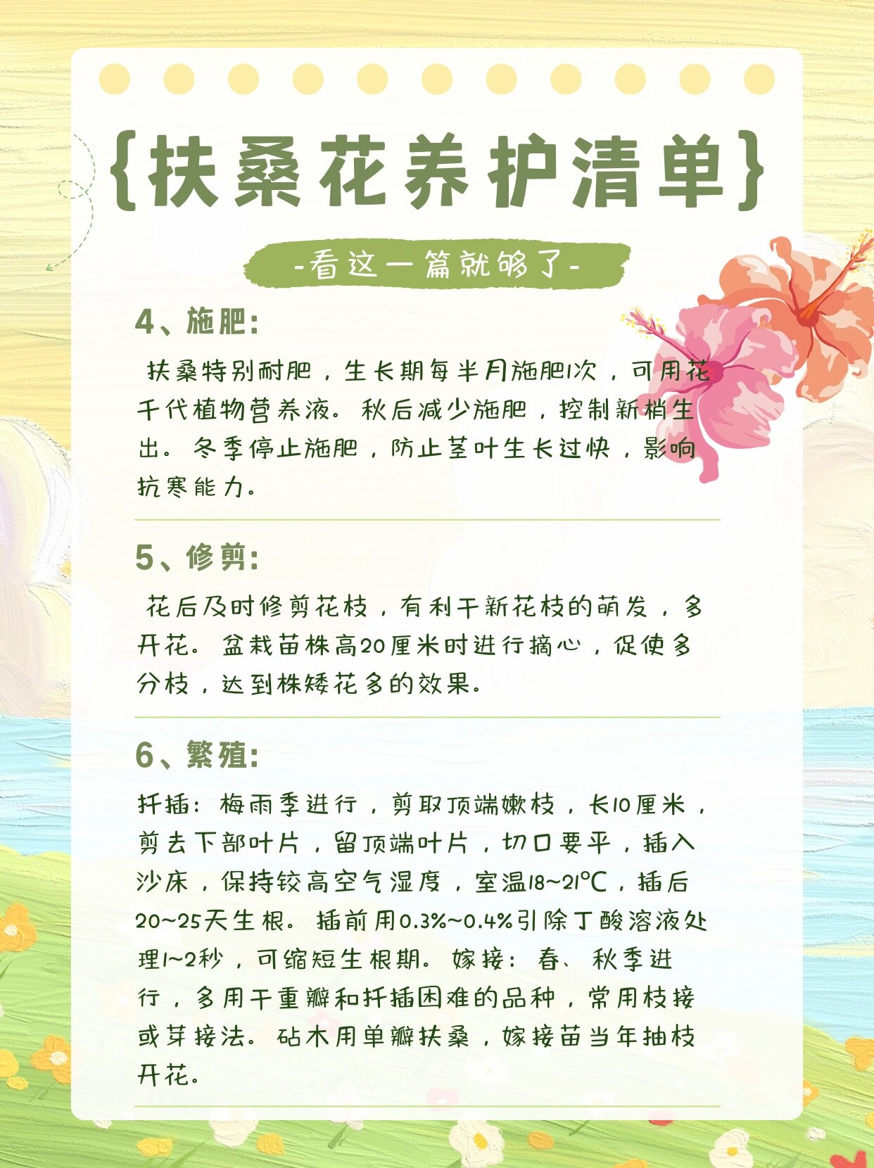 全网最全/扶桑花养护指南